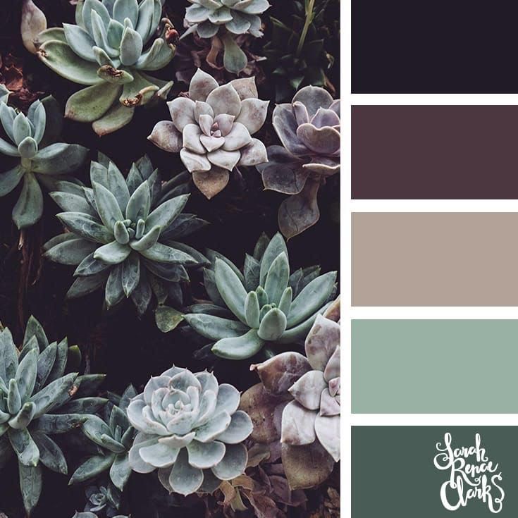 Winter Apparel Photo Color Ideas
