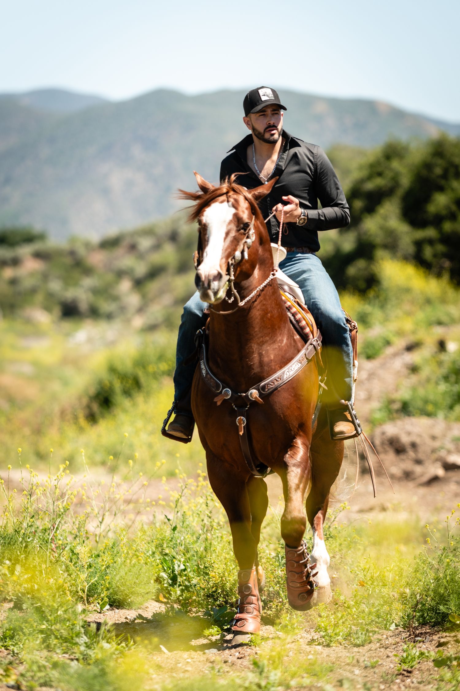 A rider in black clothing on a chestnut horse galloping along a mountain trail on a sunny day.