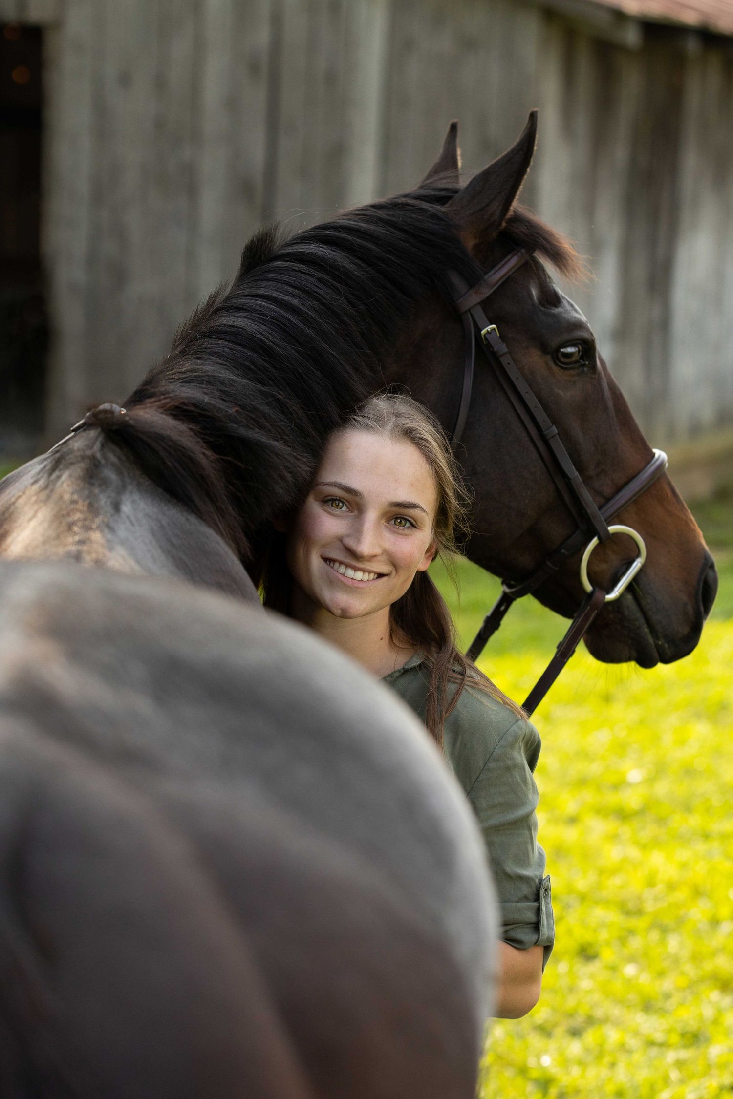 Dark horse and rider sharing close moment in sunny pasture.