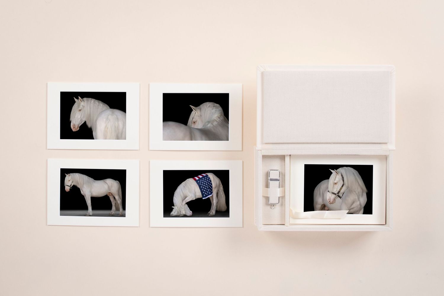 Five framed photographs of white horses displayed on a wall alongside a box set, featuring elegant equine art prints.