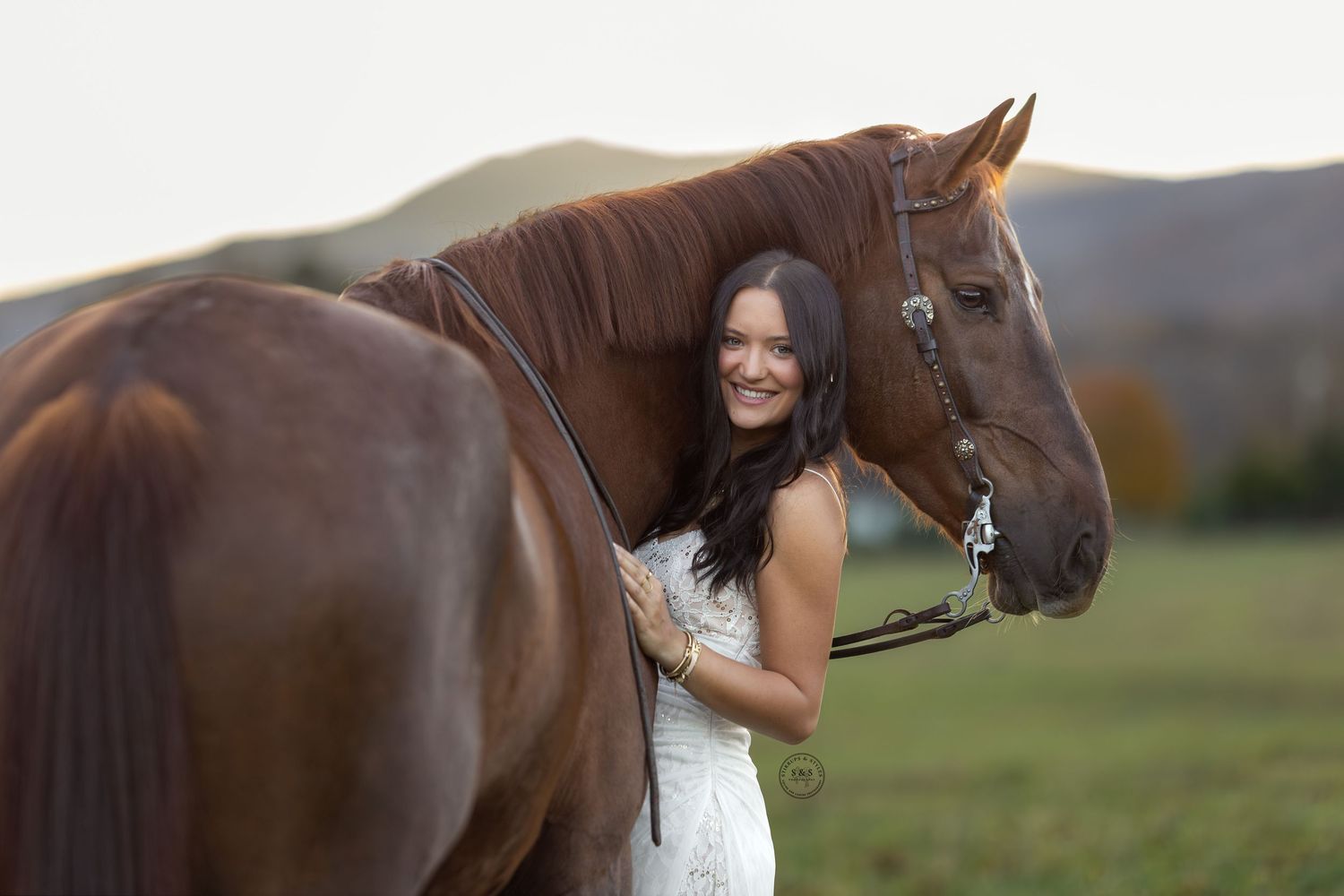 A brown horse and person share a tender moment in a sunlit field with mountains in the background.