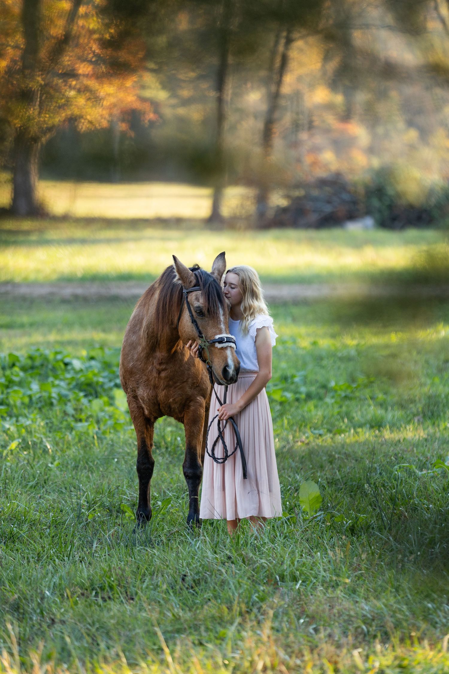 A peaceful countryside scene with a brown horse and someone in a flowing dress standing in golden evening light.