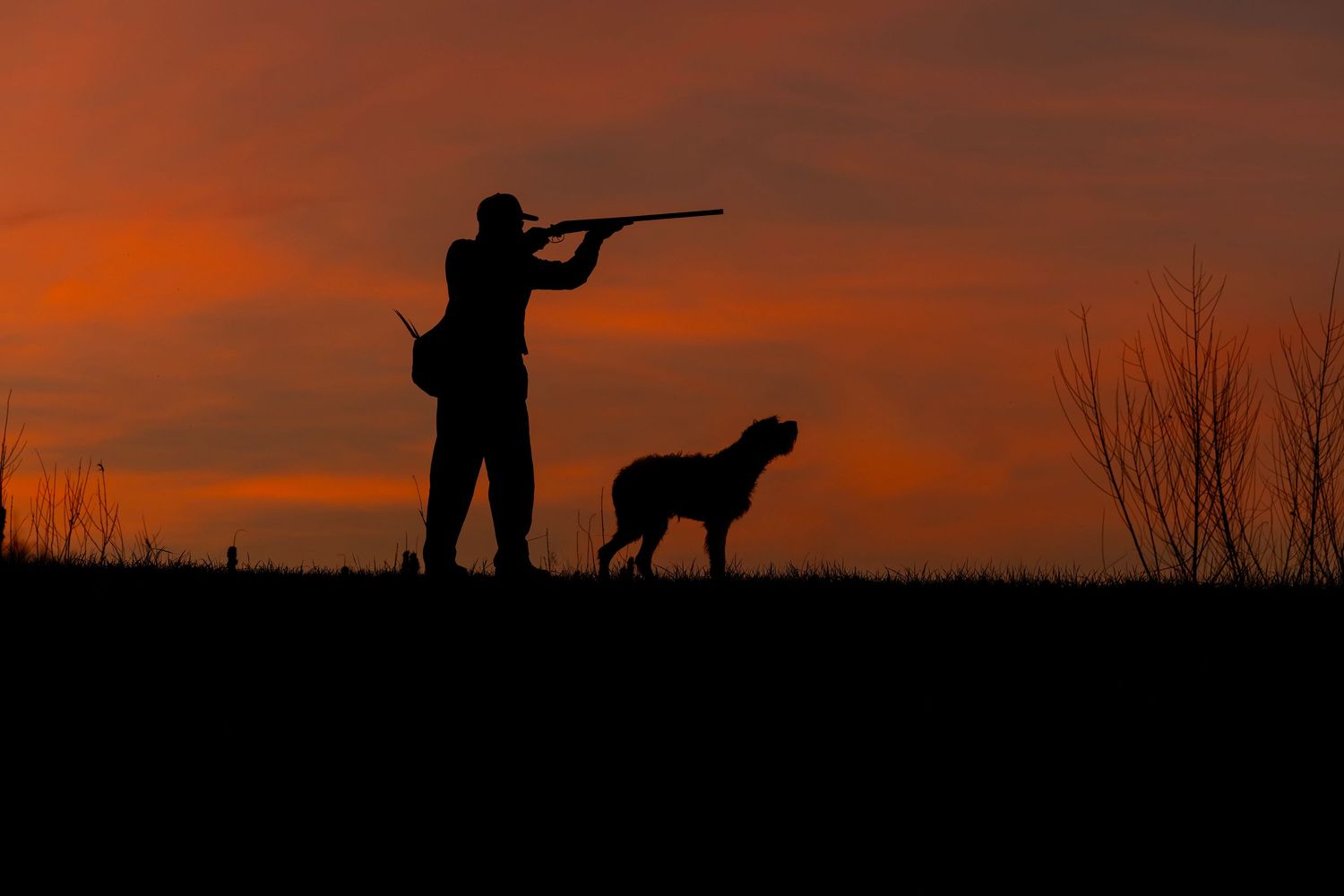 Silhouette of a hunter aiming a rifle with a dog at sunset, orange sky backdrop.