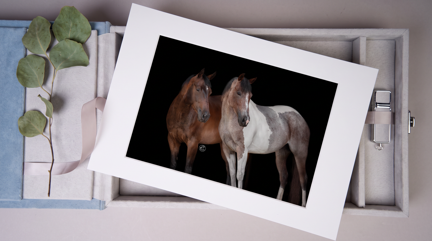 Two horses, one brown and one gray, stand together against a dark background in a framed fine art print display.