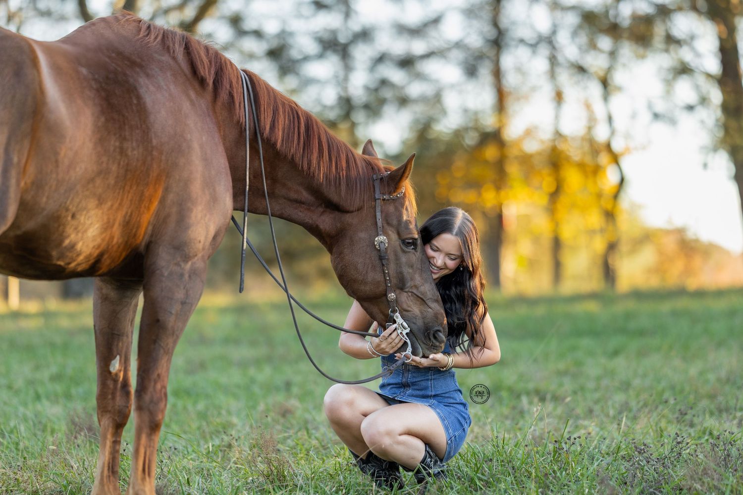 A brown horse and person share a tender moment in a sunlit meadow at golden hour.