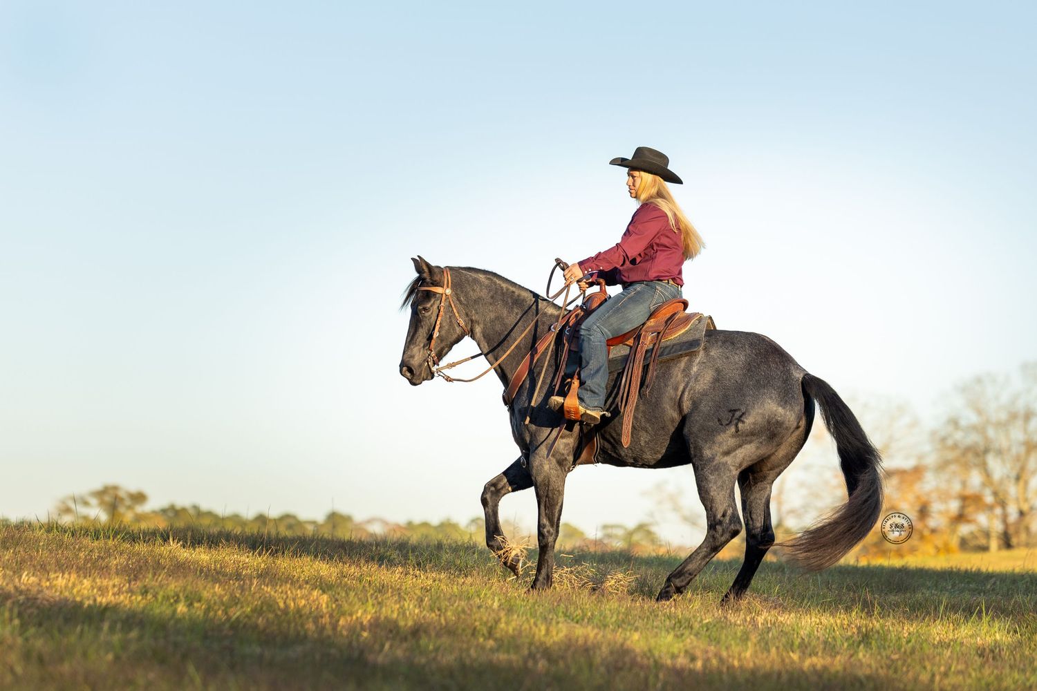 Woman in cowboy hat riding a gray horse across a green field under a clear blue sky.