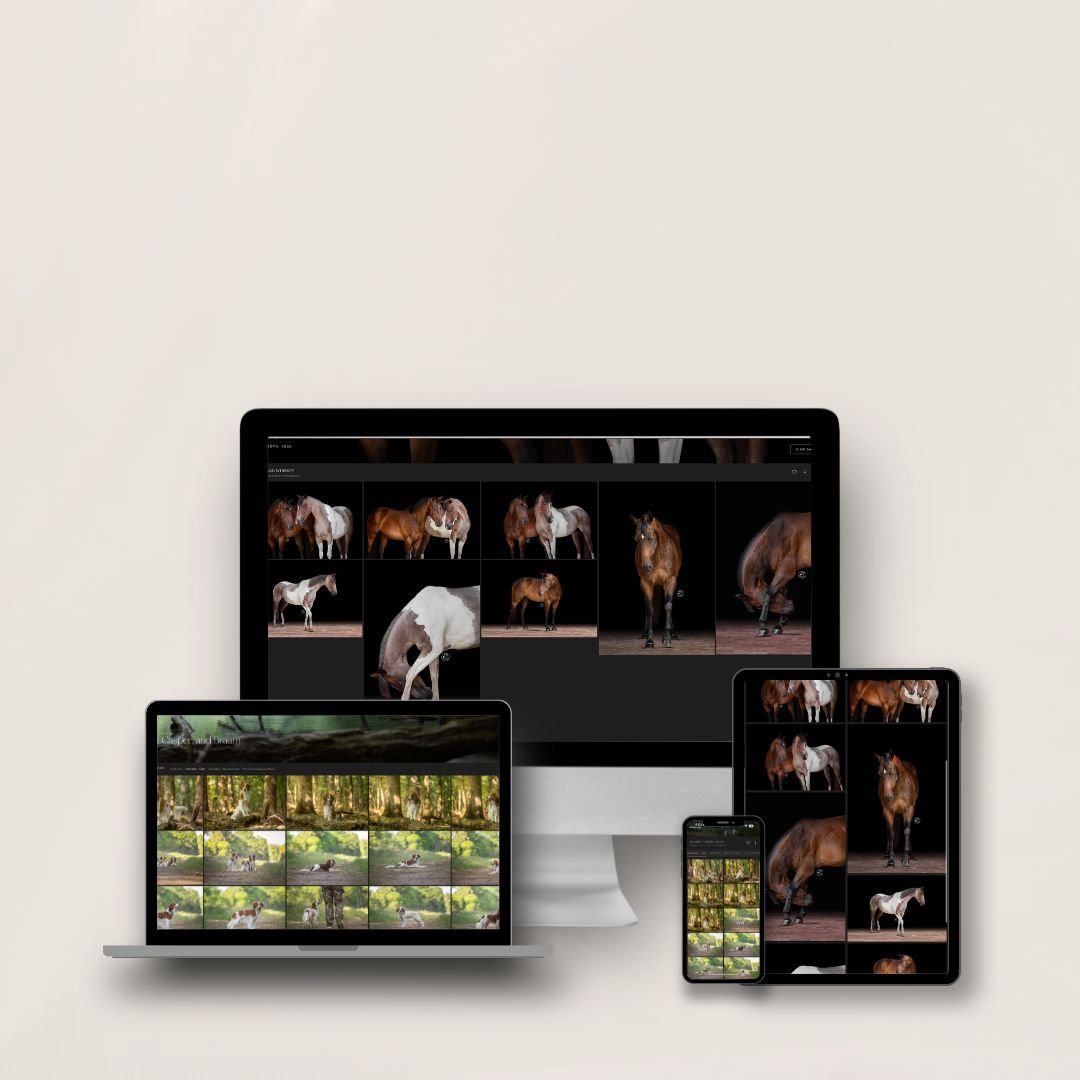 Multiple devices displaying horse photography editing software with brown and white horses on screens.