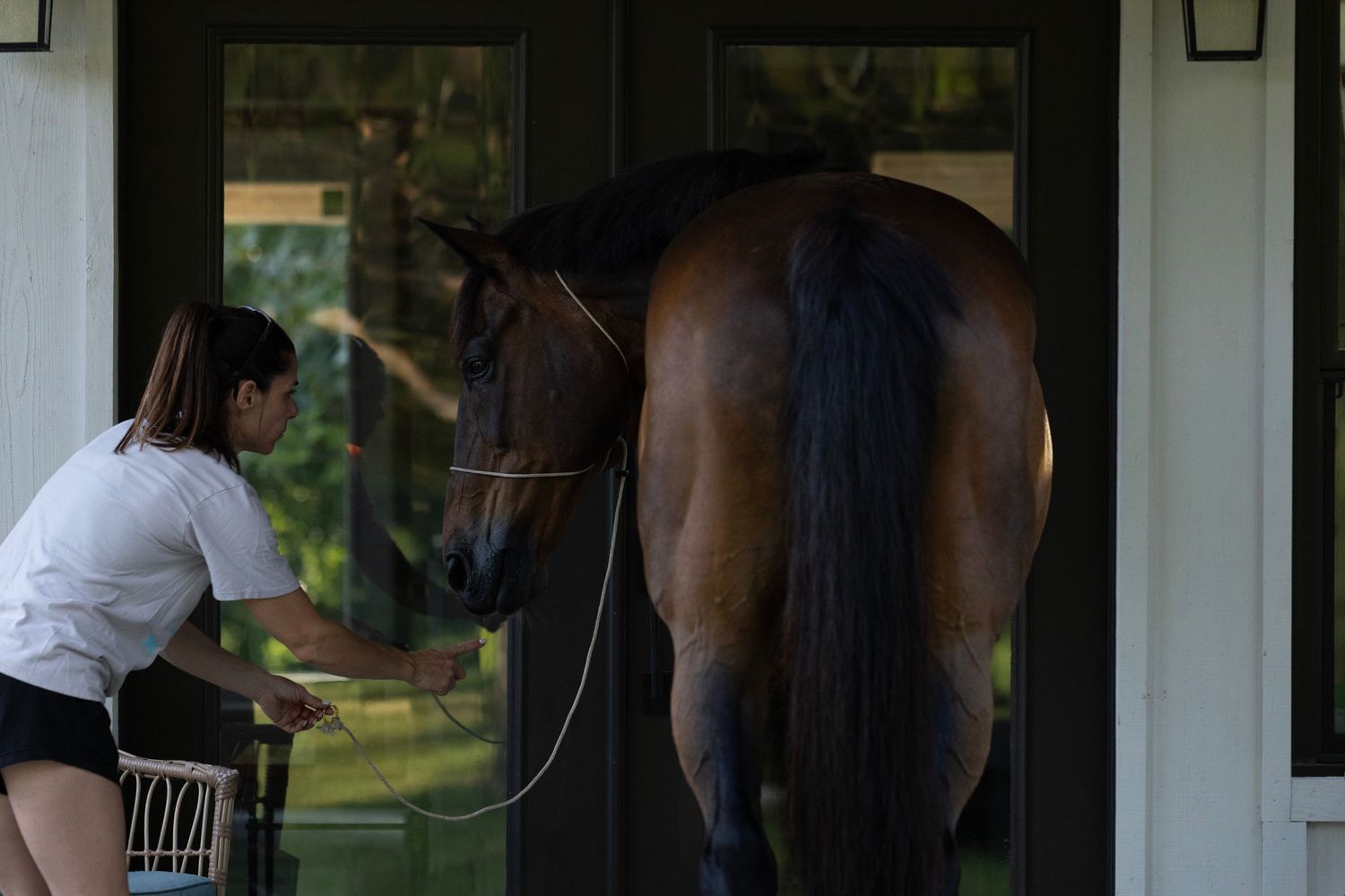 A woman in white shirt guides a bay horse through a stable doorway on a lead rope.