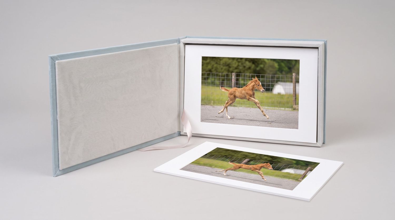 Elegant photo presentation box with matted horse portrait prints, featuring a running foal photograph displayed in a keepsake folder.