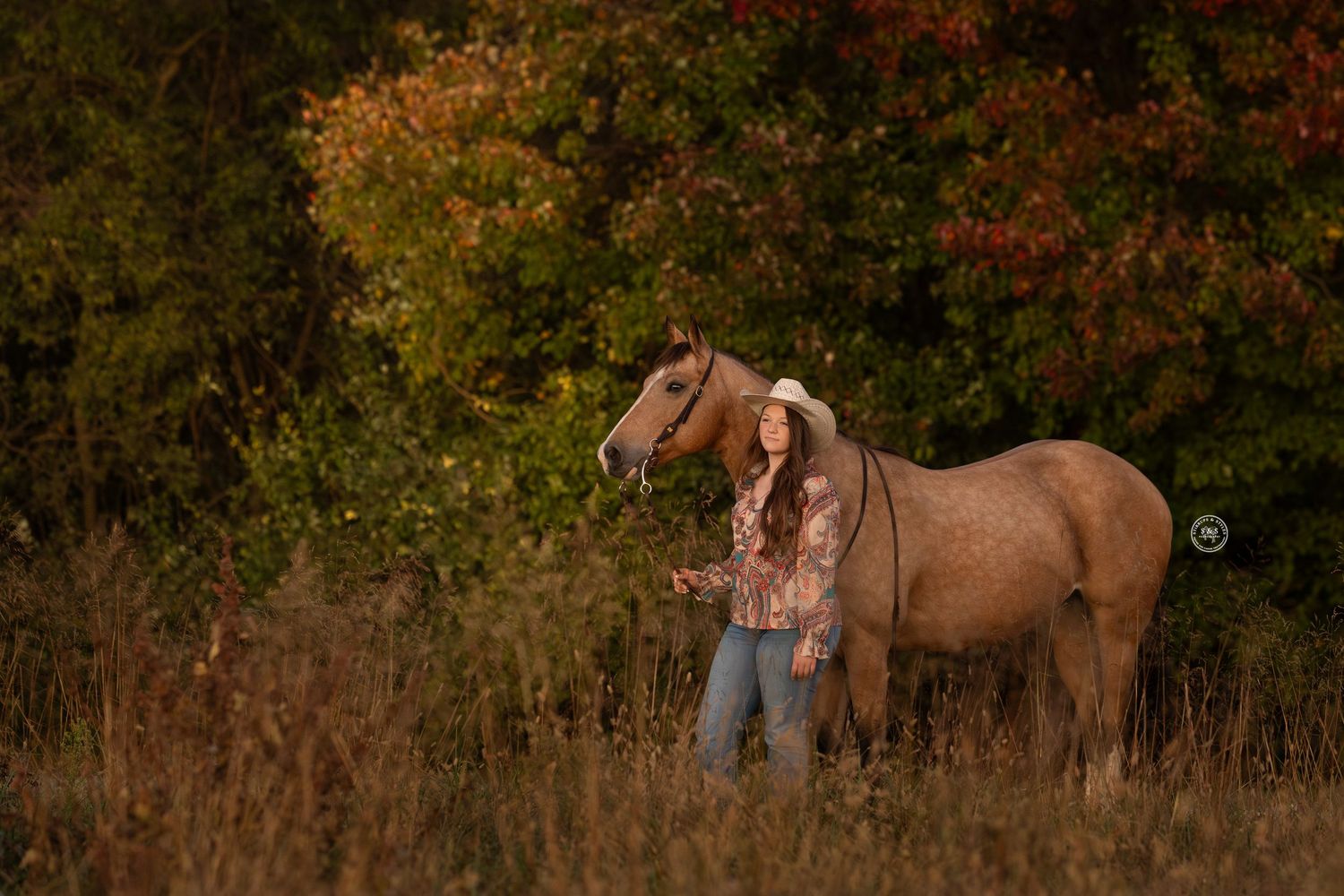 A brown horse stands in a fall meadow with autumn foliage and golden light in the background.