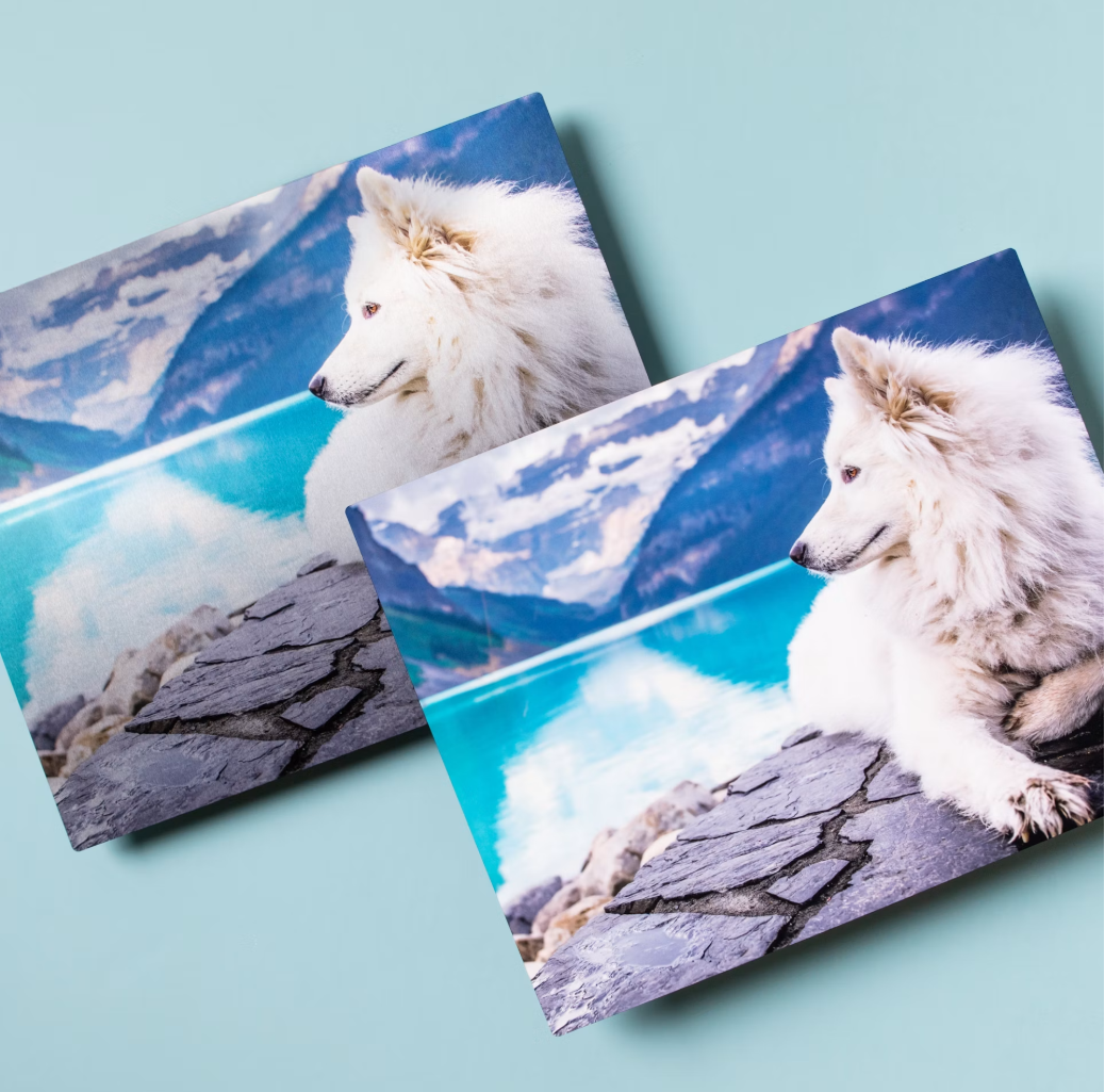 Two glossy photo prints of a white Samoyed dog resting on rocky terrain with blue mountains in the background.