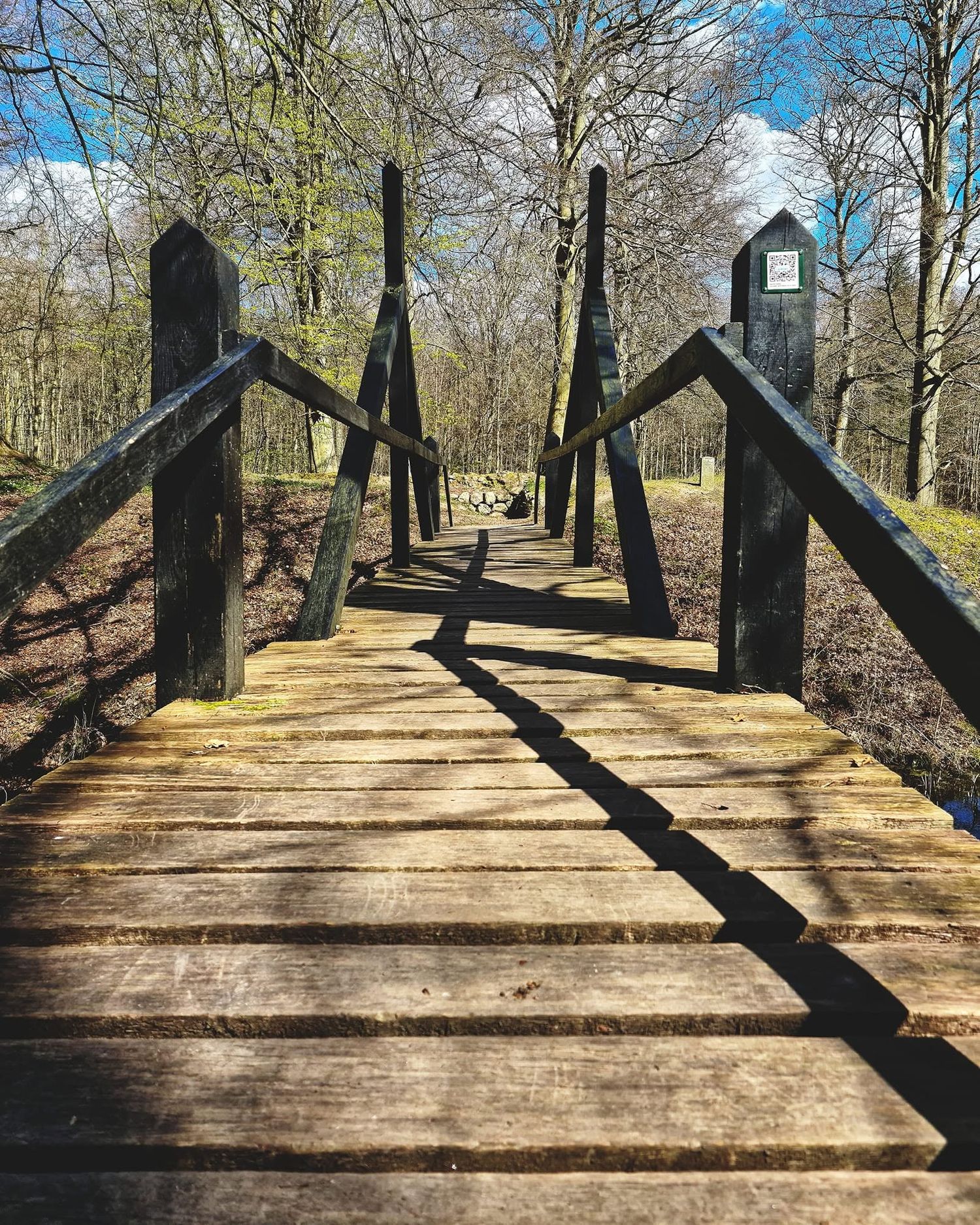 Wooden footbridge with diagonal railings leads through bare trees in a sunlit forest park on a clear day.