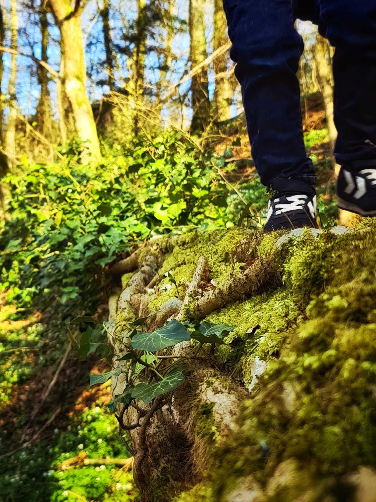 Person in black sneakers balancing on a moss-covered log in a sunlit green forest.