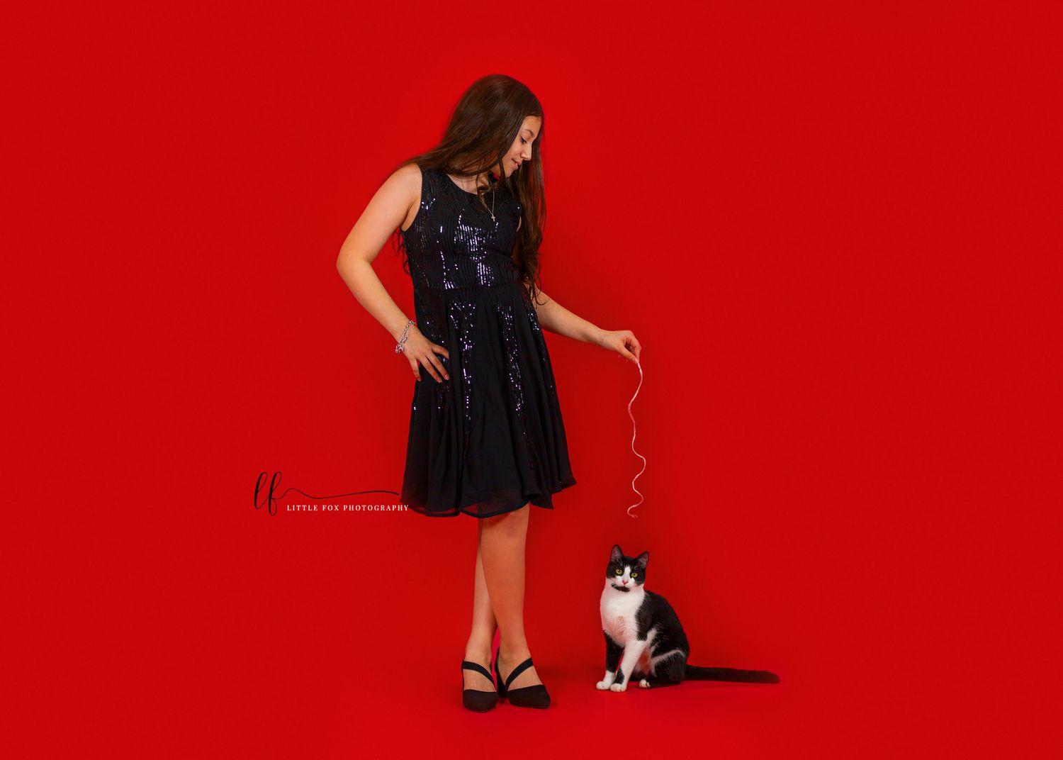 Little girl poses with her black and white cat for a portrait on solid red backdrop
