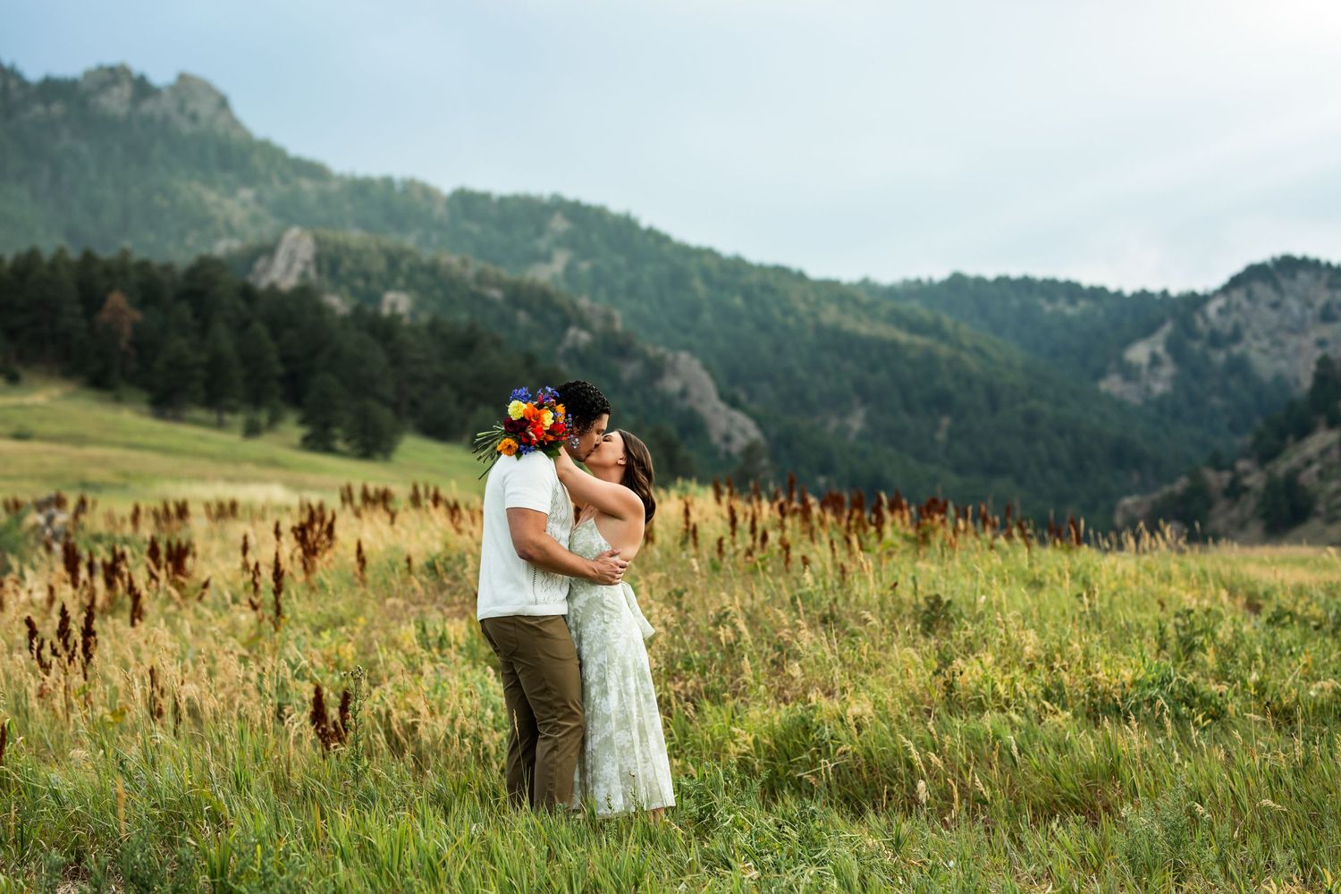 A romantic mountain meadow scene with tall grass and wildflowers set against a backdrop of rugged mountain peaks.