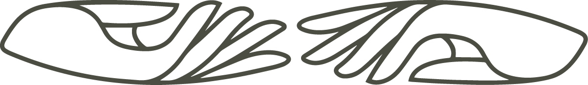 Black and white line art illustration of a decorative swirling calligraphic design element.