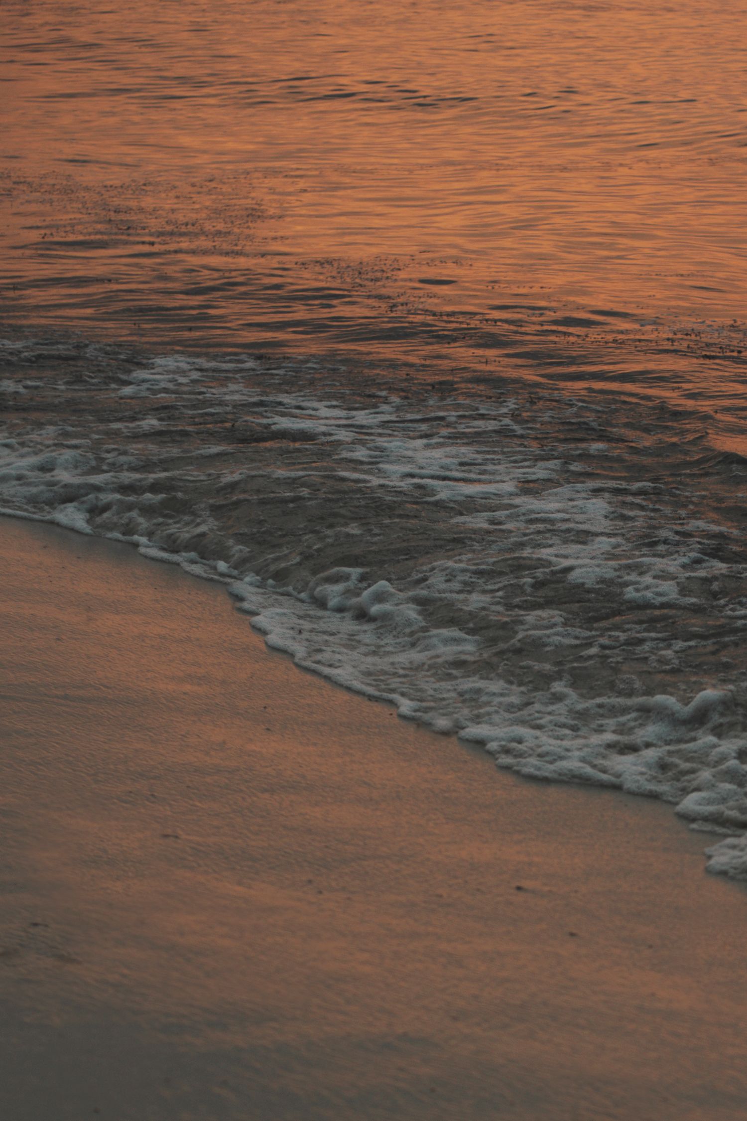 Orange sunset reflects on ocean waves as they meet the sandy shore.