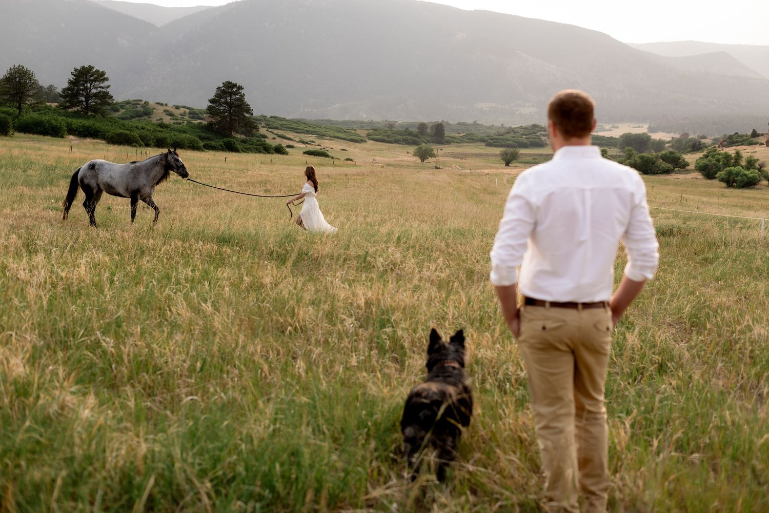 Man and dog watching woman lead a gray horse through a lush green mountain meadow field.