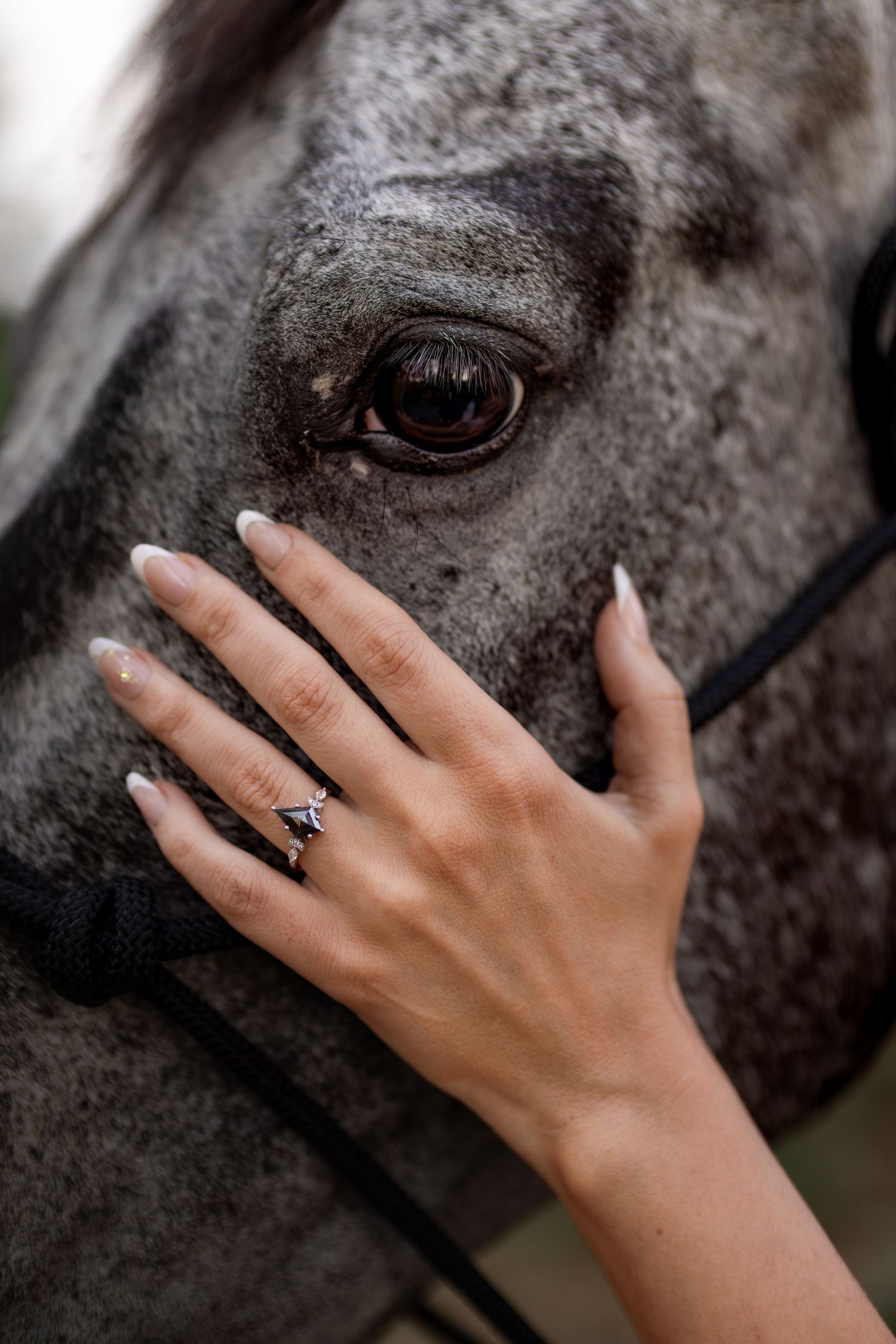 Close-up of a womans hand with an engagement ring gently touching the face of a gray horse near its eye.