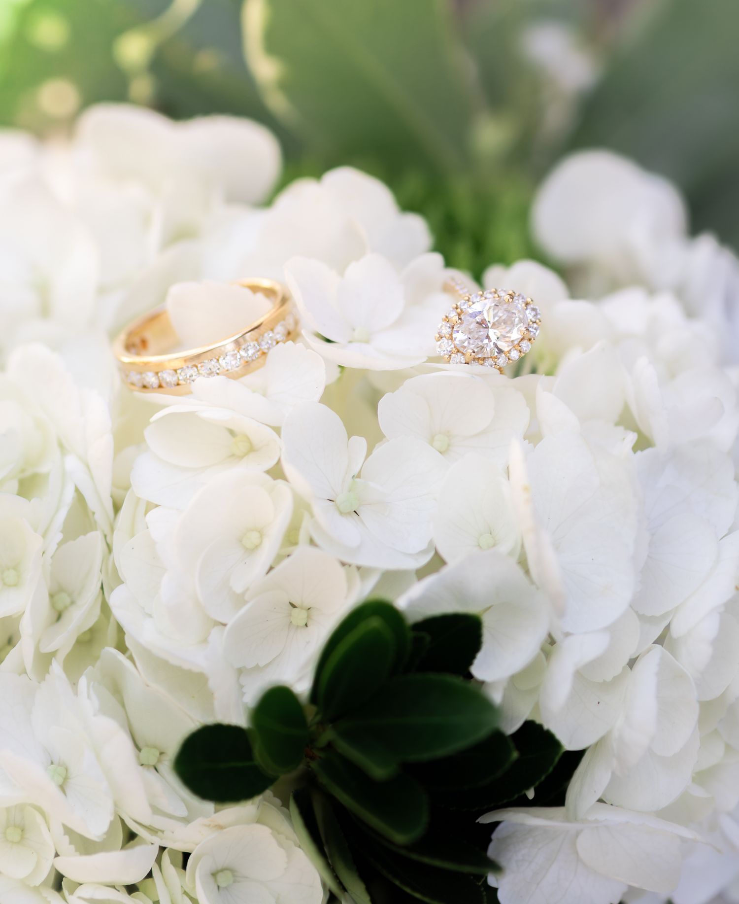 Two gold wedding rings with diamonds resting on white hydrangea flowers in a bridal bouquet.