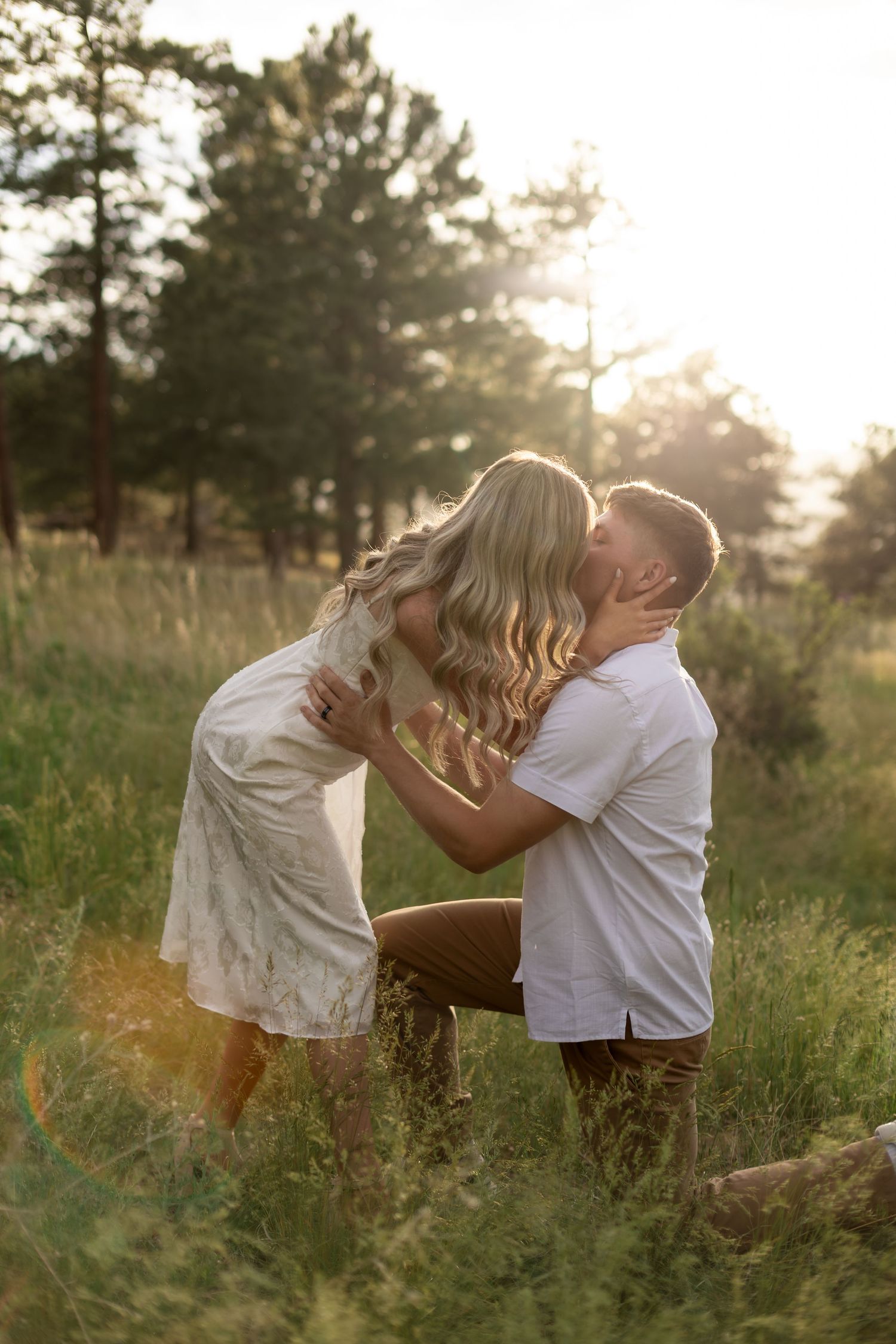 Couple sharing a romantic kiss in a sunlit meadow surrounded by tall grass and pine trees during golden hour.