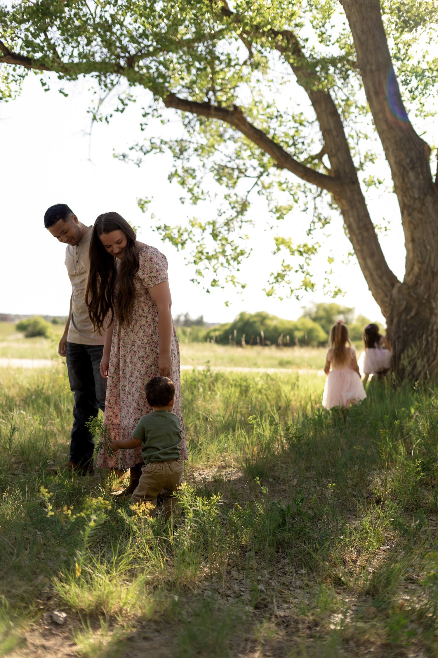 Family enjoying a sunny day outdoors near a large tree in a green meadow, parents watching young child play.