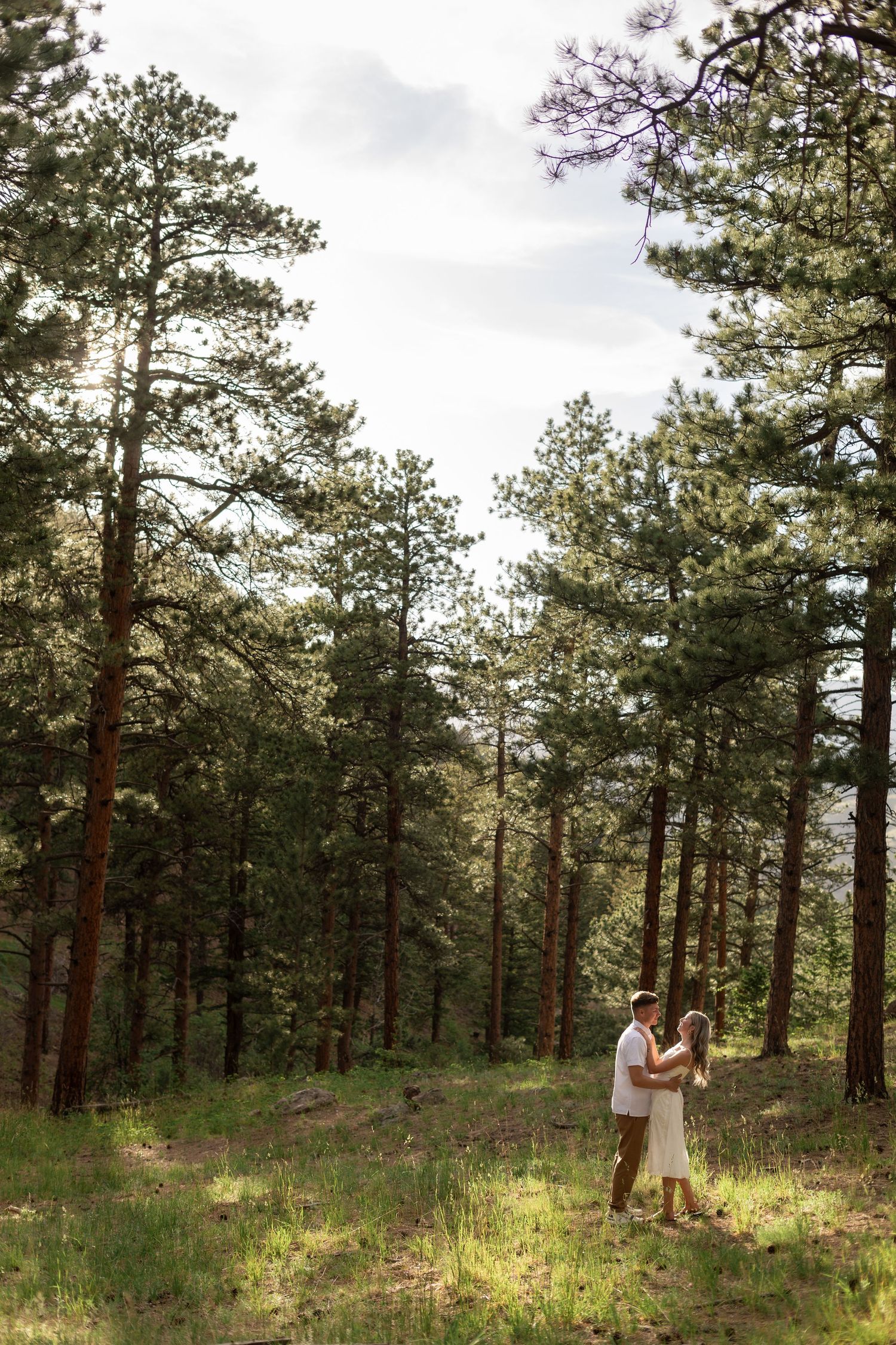 Couple embracing in a sunlit pine forest, surrounded by tall trees and lush green grass.