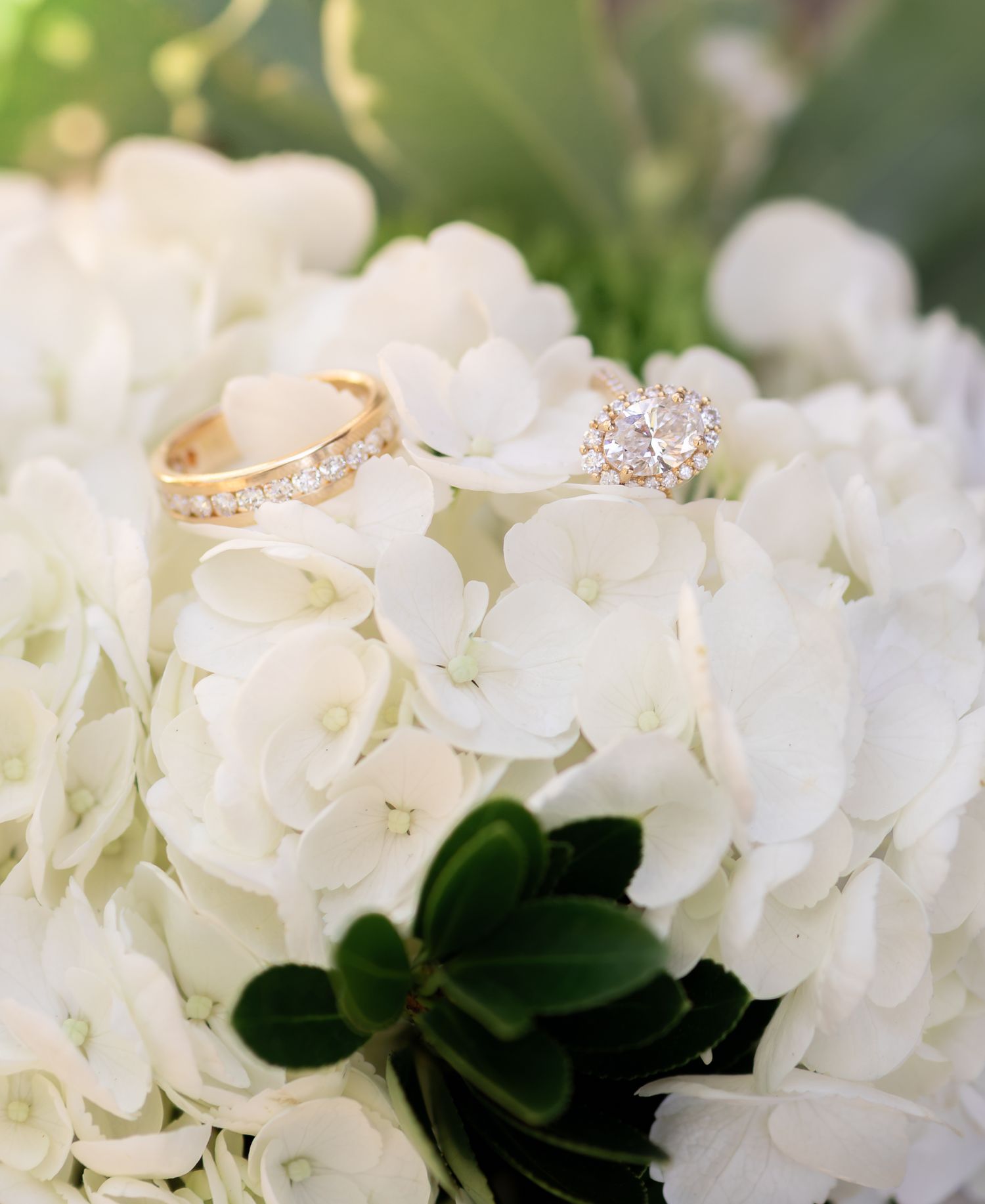 Two gold wedding rings with diamonds resting on white hydrangea flowers in a bridal bouquet.