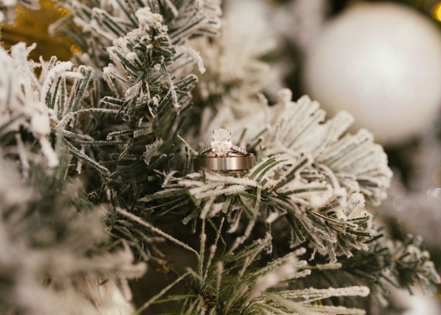 Close-up detail of frosted winter branches with sparkling decorative elements.