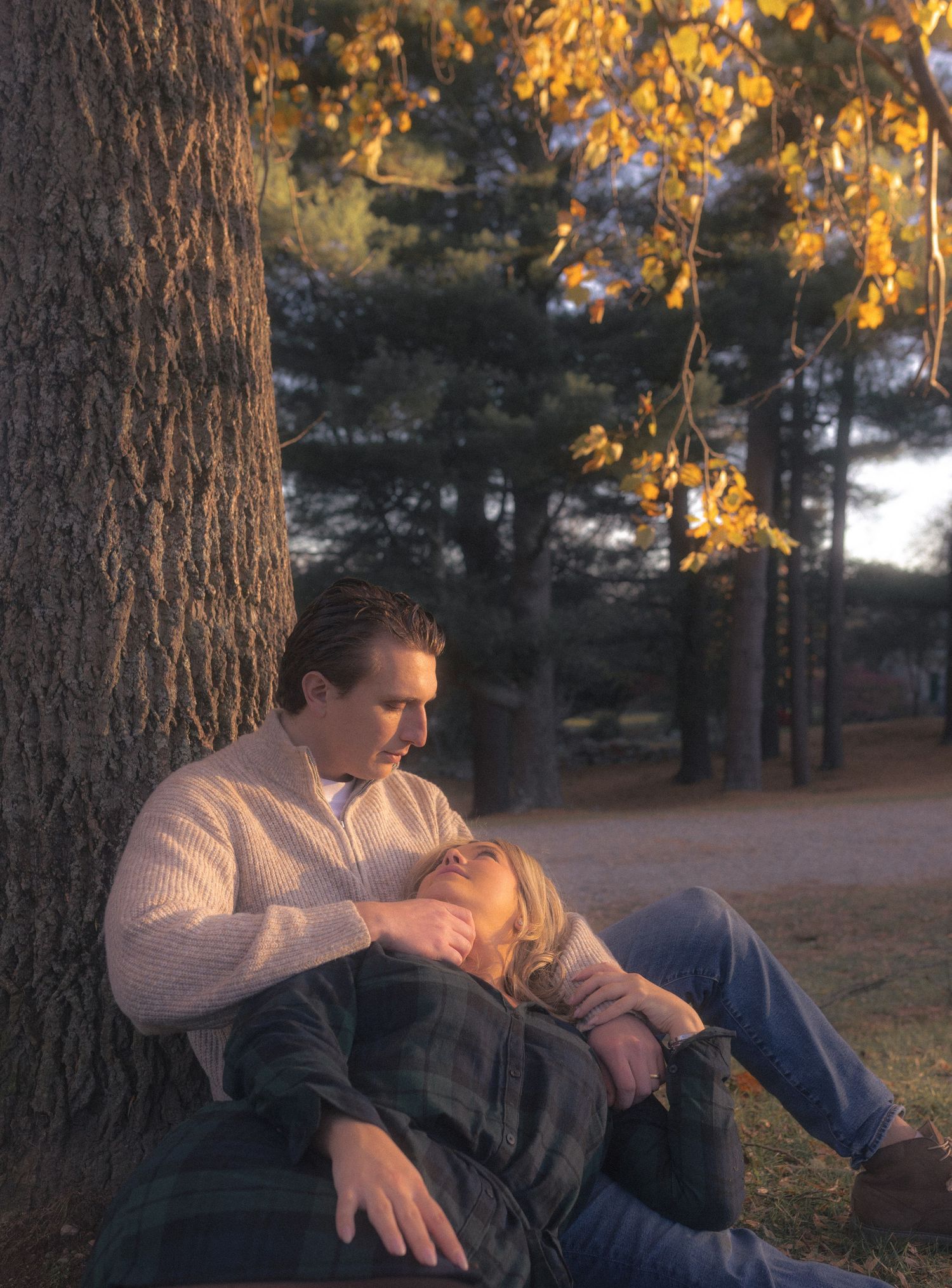 Two people share a tender moment beneath a large tree during autumn sunset.