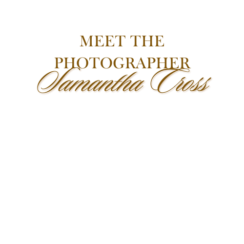 Stylish gold text reading 'MEET THE PHOTOGRAPHER' in elegant typography.