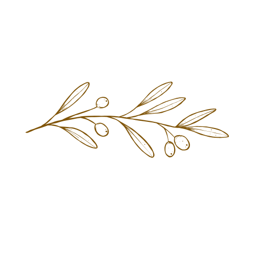 Delicate gold botanical line drawing of olive branches and berries.