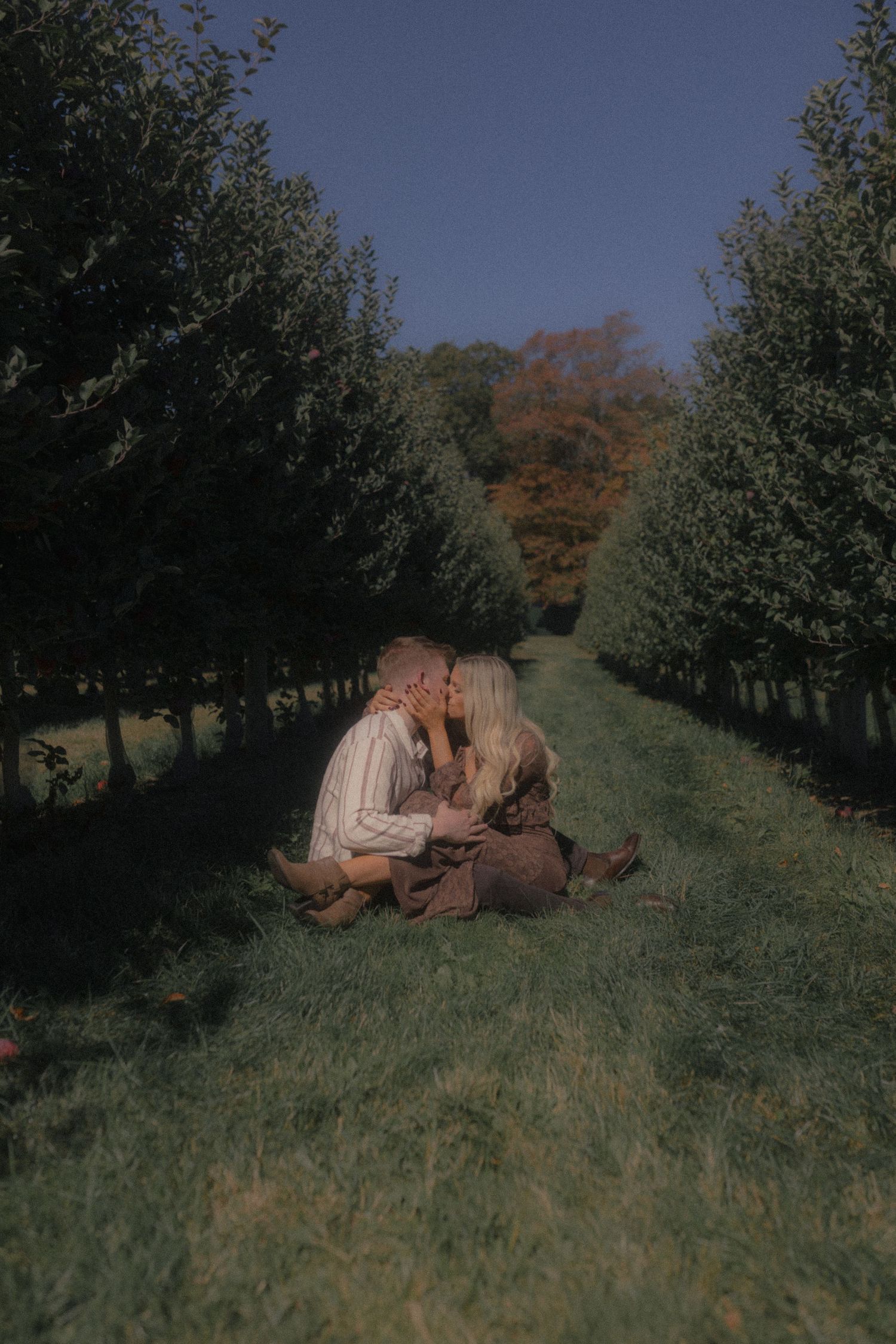 Two people sharing an intimate moment while lying in the grass between rows of orchard trees.