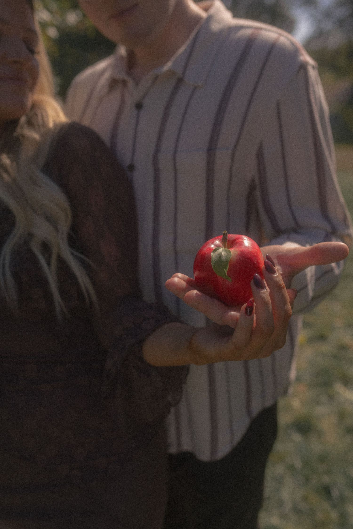 A couple holds red apples while enjoying time in an orchard.