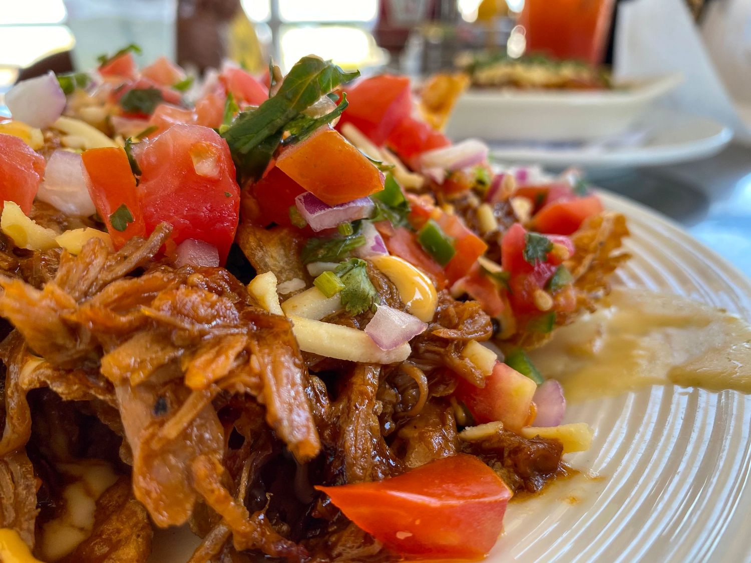 Fresh salsa with diced tomatoes, onions and herbs on a white plate.