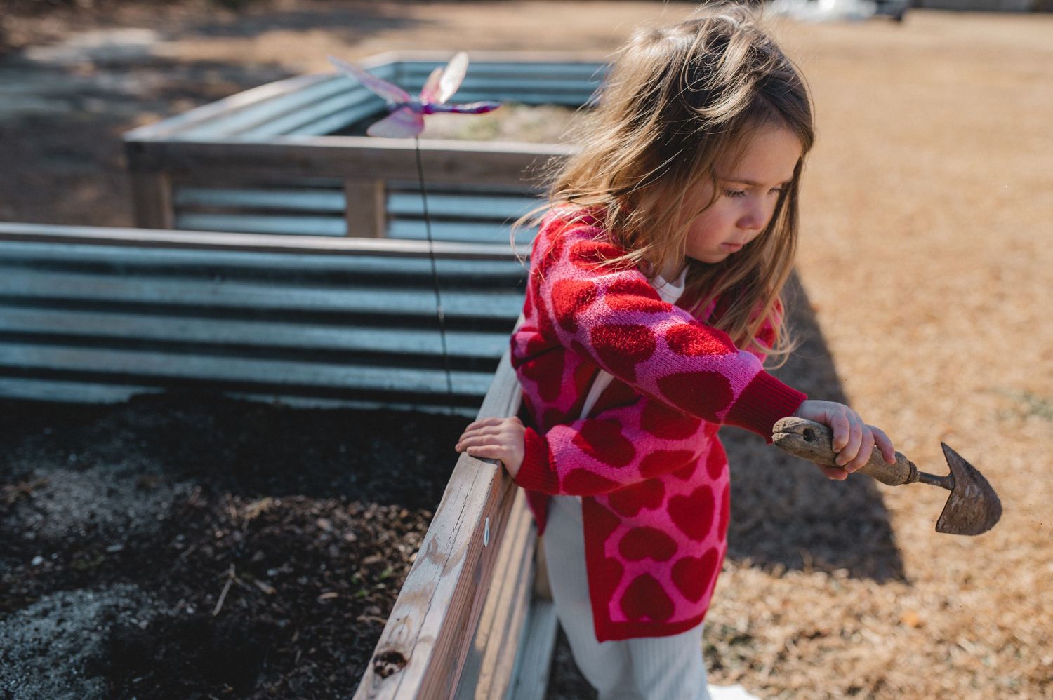 child digging in raised garden beds with spade, greenville, nc