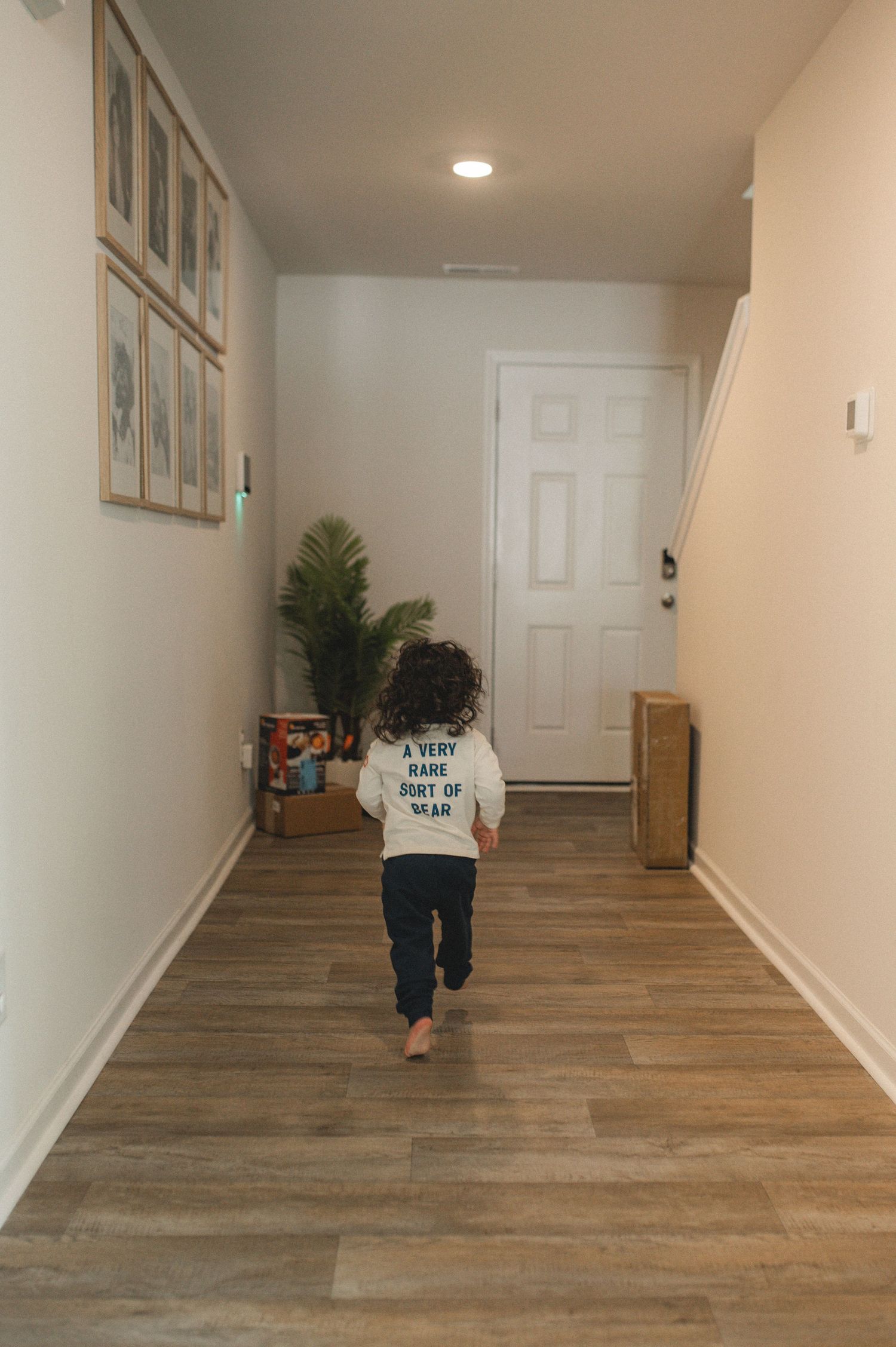 child running down hallway, pictures on the wall, houseplant sitting next to door