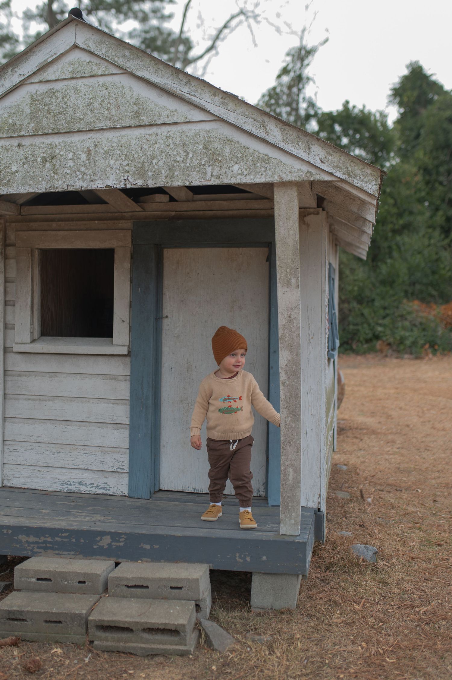 child stand on porch of chicken coop, blue and white