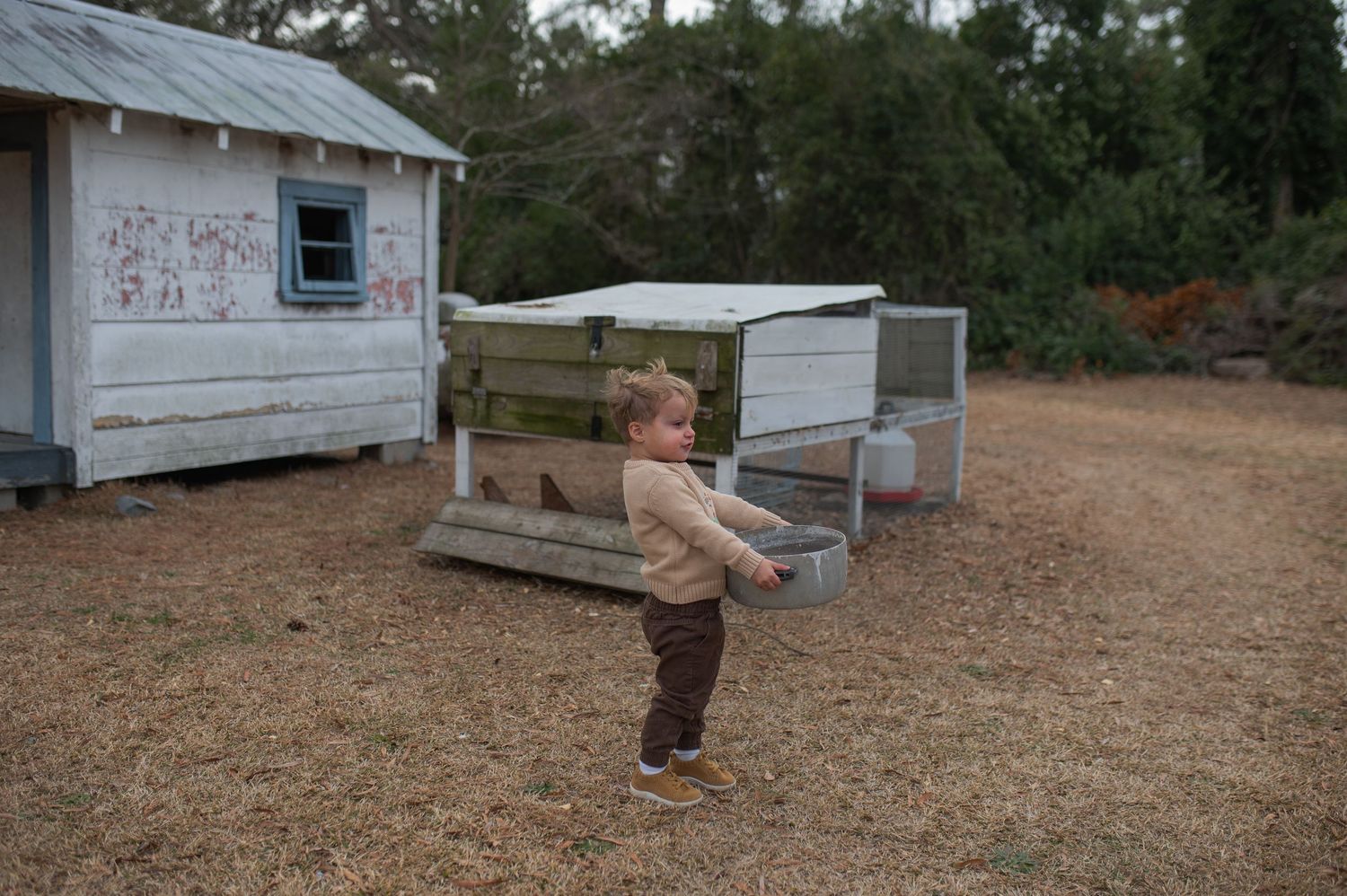child holding bucket, standing in front of a chicken coop outside