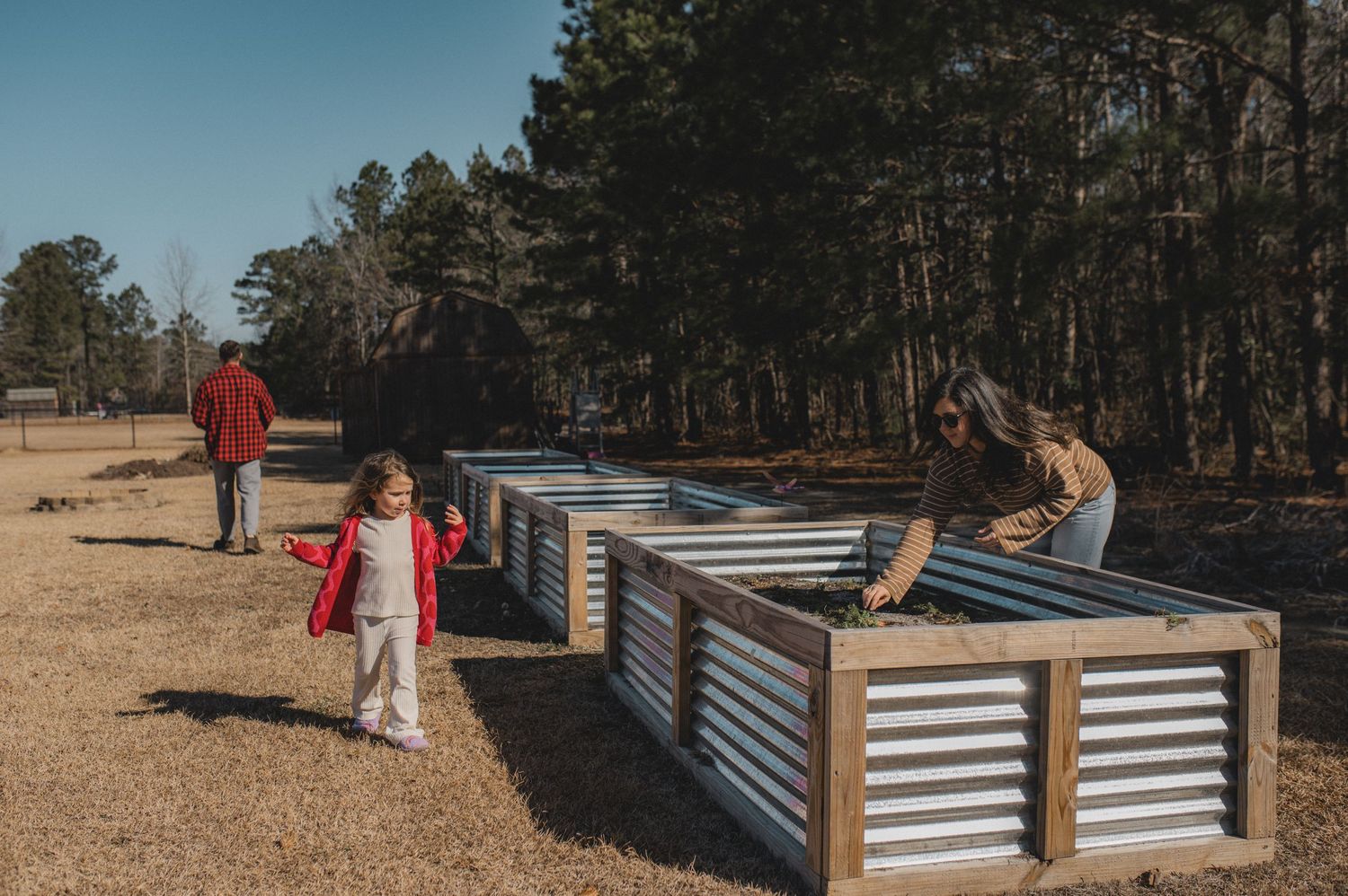 mom dad and daughter working together to plant seeds in raised garden bed, greenville, nc
