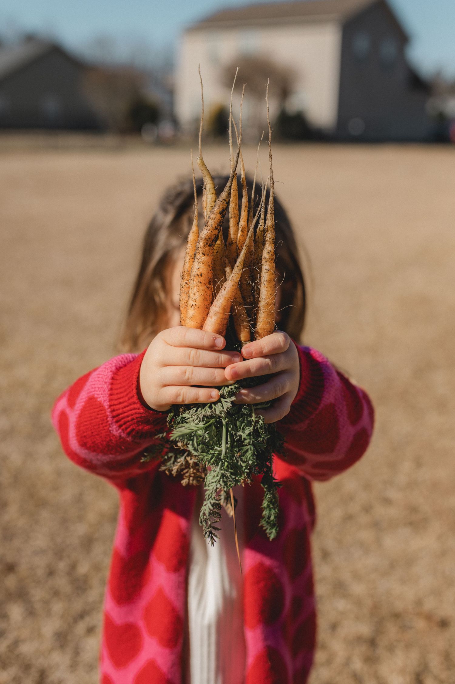 child holding carrots from raised garden bed, greenville, nc
