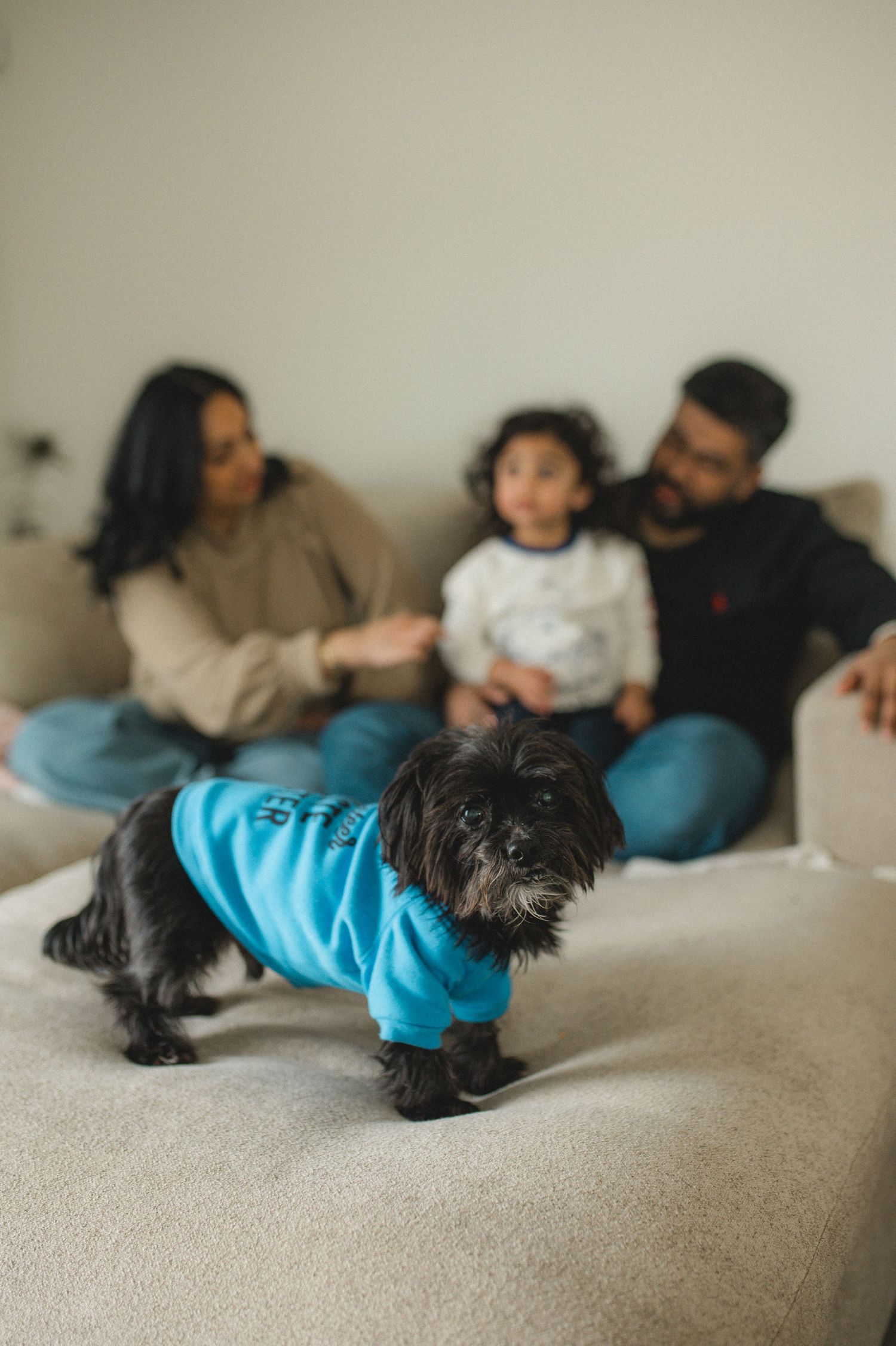 mom dad son, playing on couch with cushions, family at home family photography session, documentary family session, dog looking at camera
