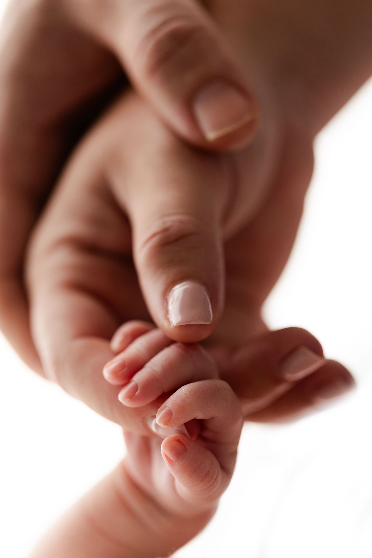 Close-up artistic series of tiny baby toes against white background.