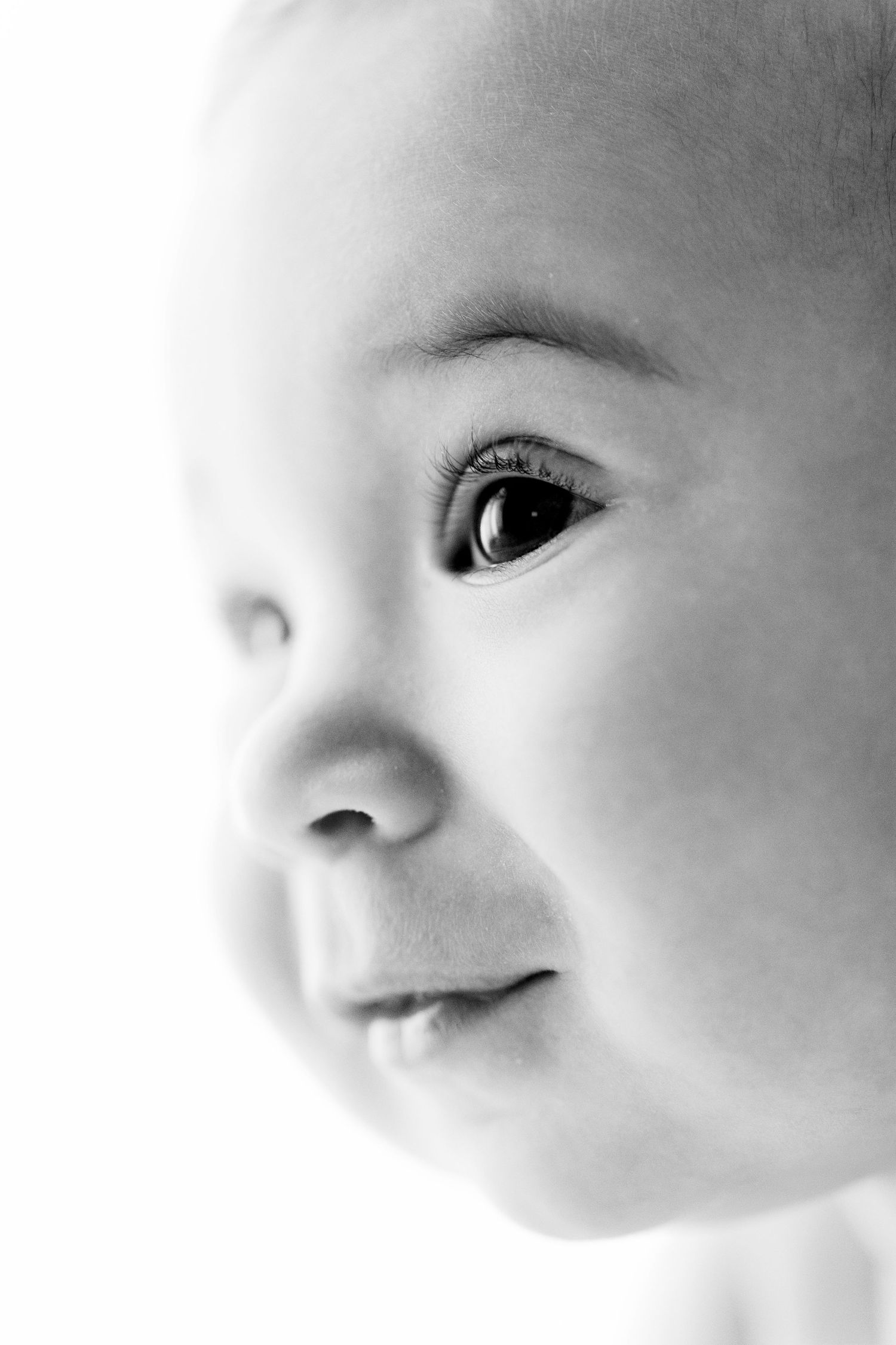 Close-up black and white portrait showing delicate features of a baby's face against white background.