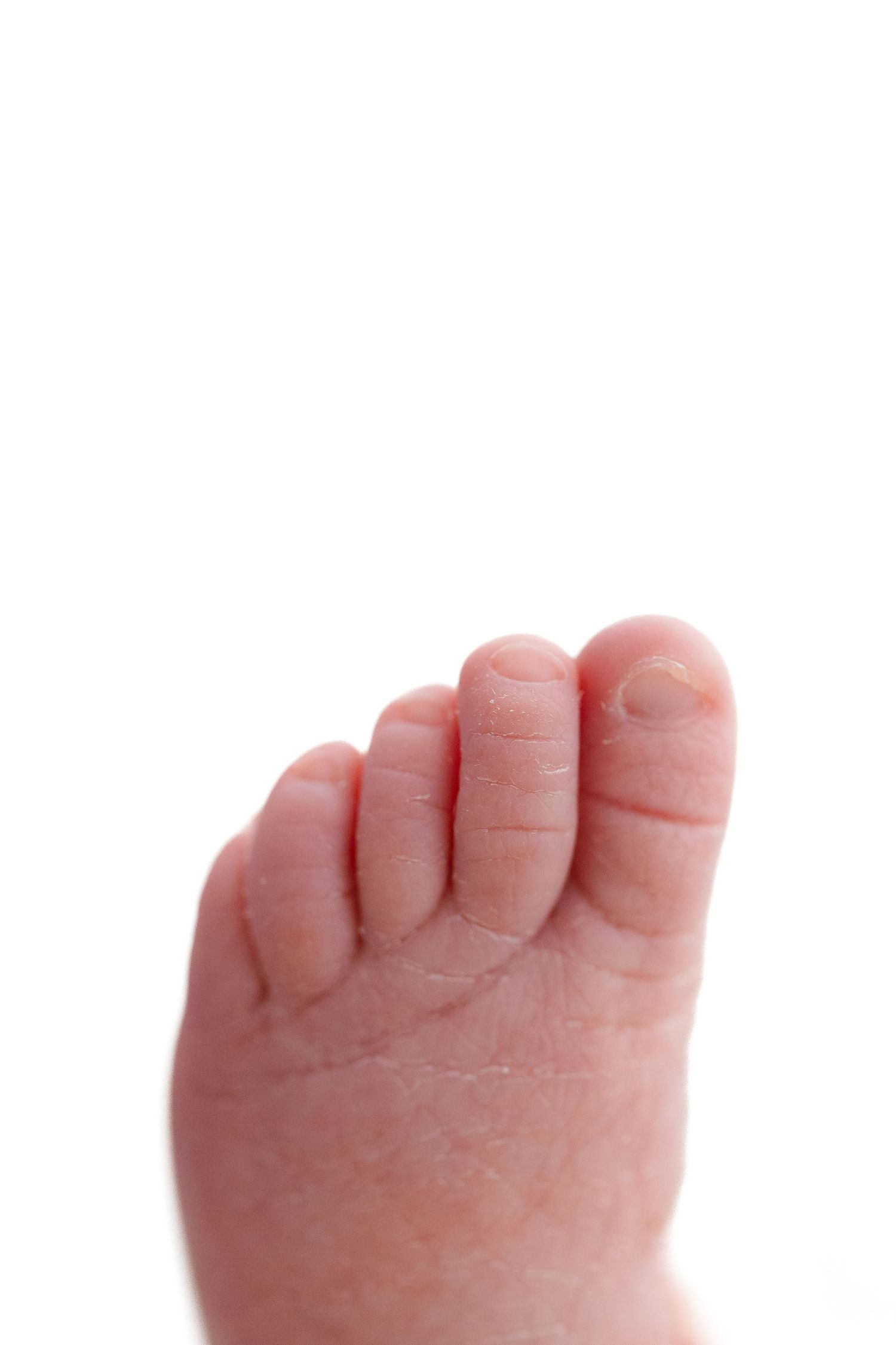 Close-up view of tiny baby toes against a white background showing delicate pink newborn feet.