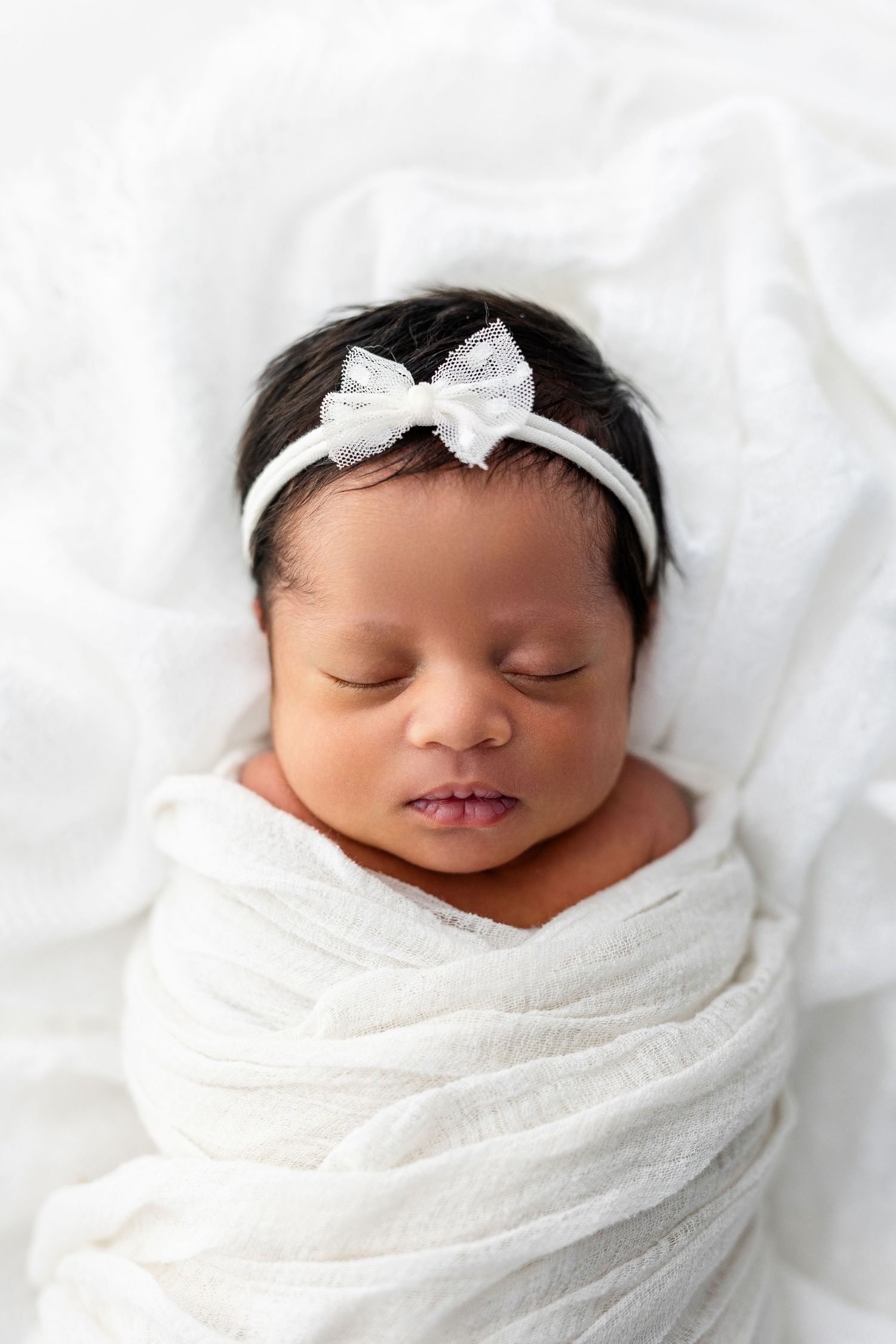 Charlotte newborn photographer