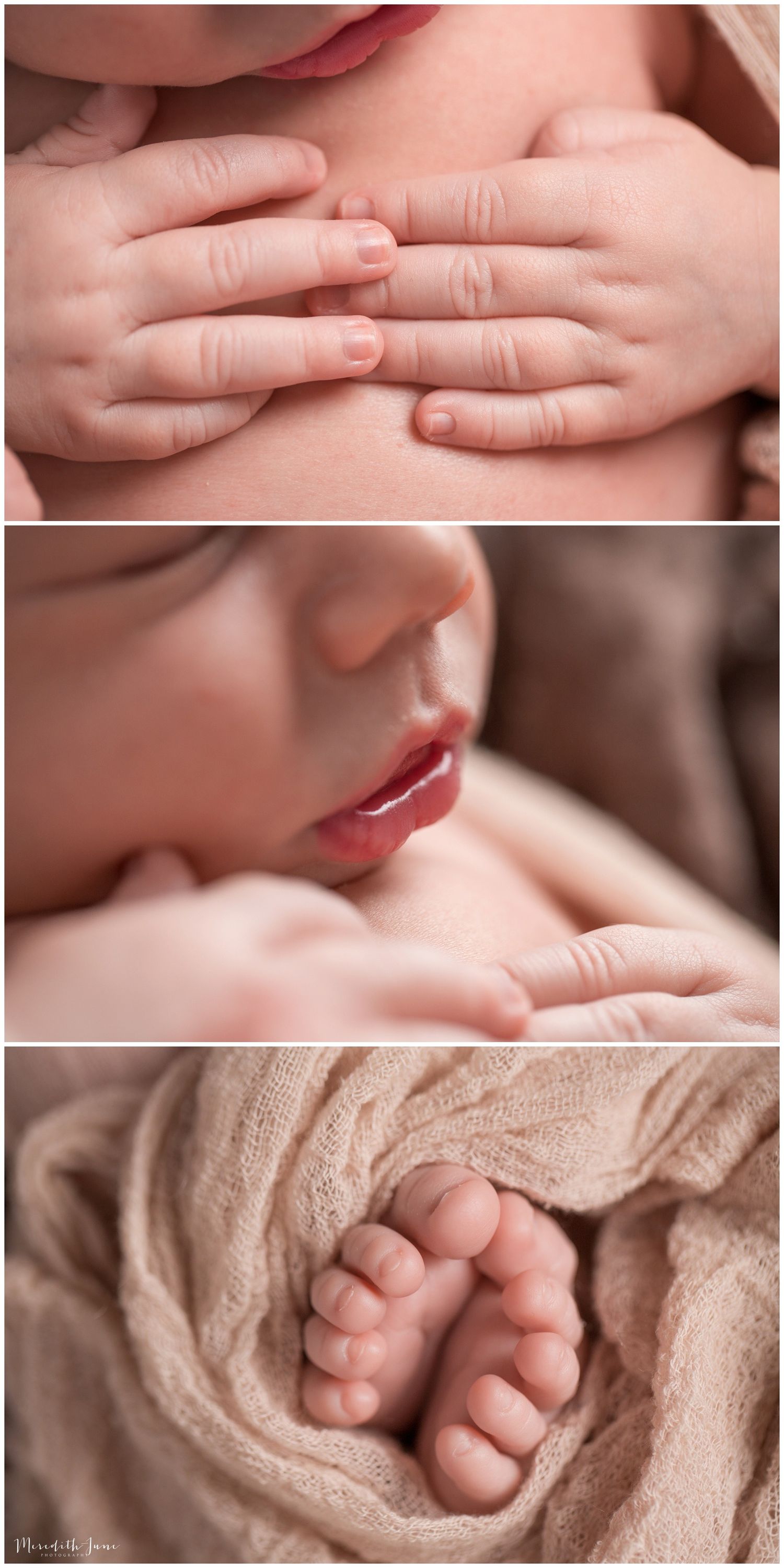 Close-up collage of tender newborn baby details including tiny hands, feet, and lips against soft beige fabric.