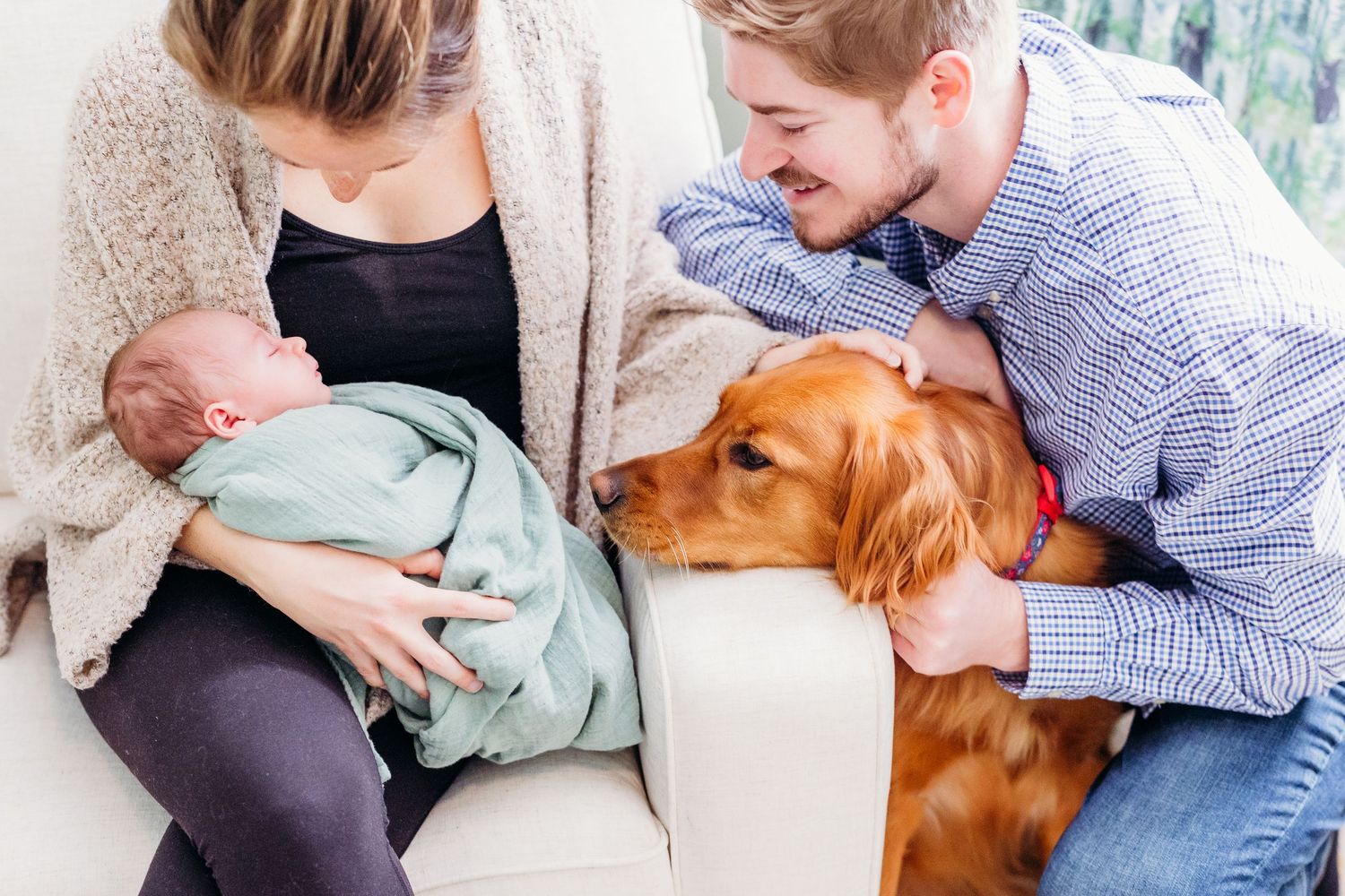 A series of tender moments showing affection between a person and their golden retriever dog in various poses.