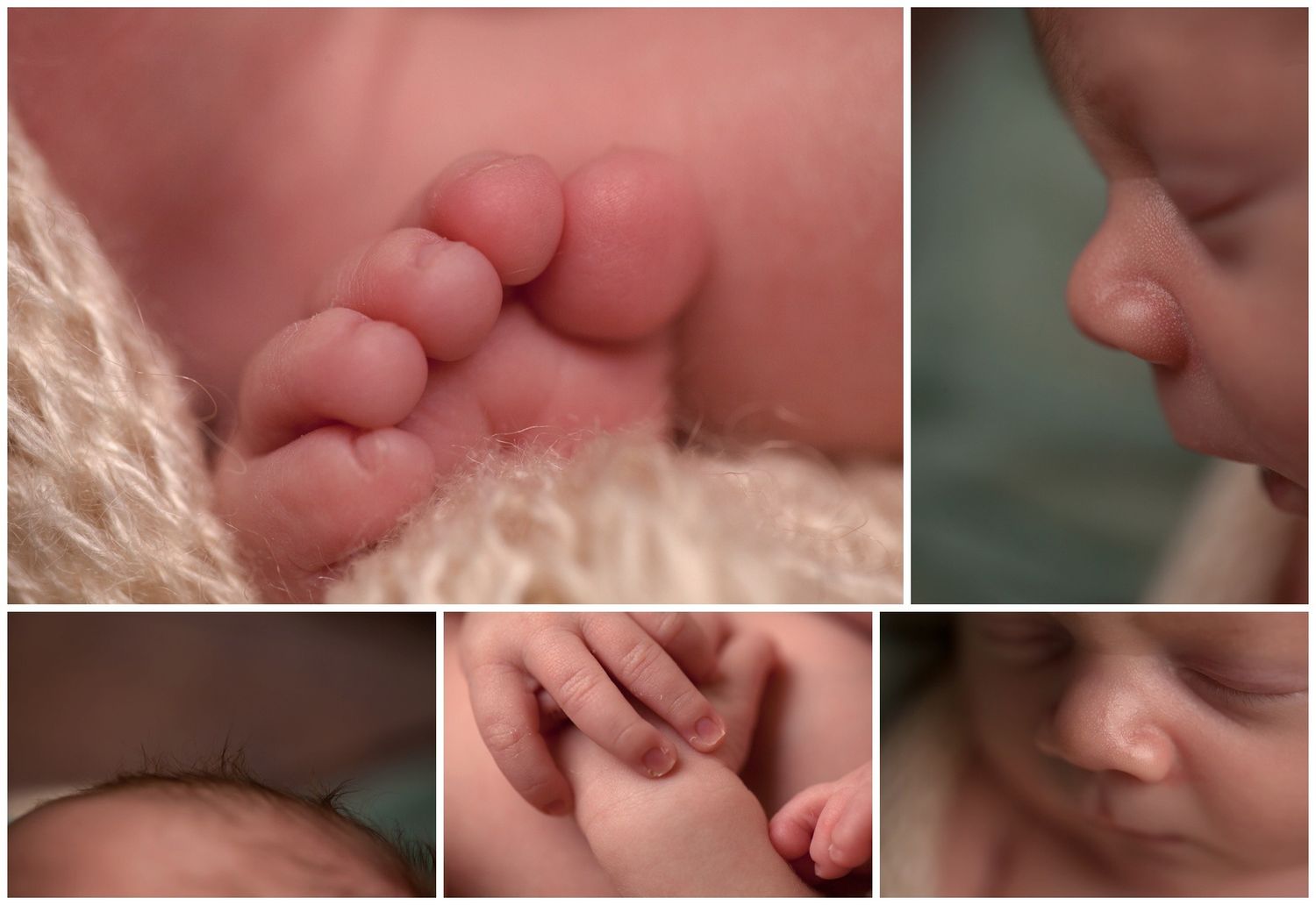 Close-up photos of tiny baby fingers and toes arranged in a horizontal collage.