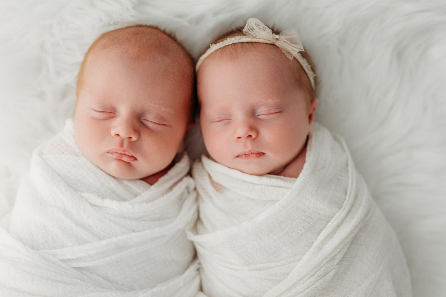 Charlotte newborn photographer